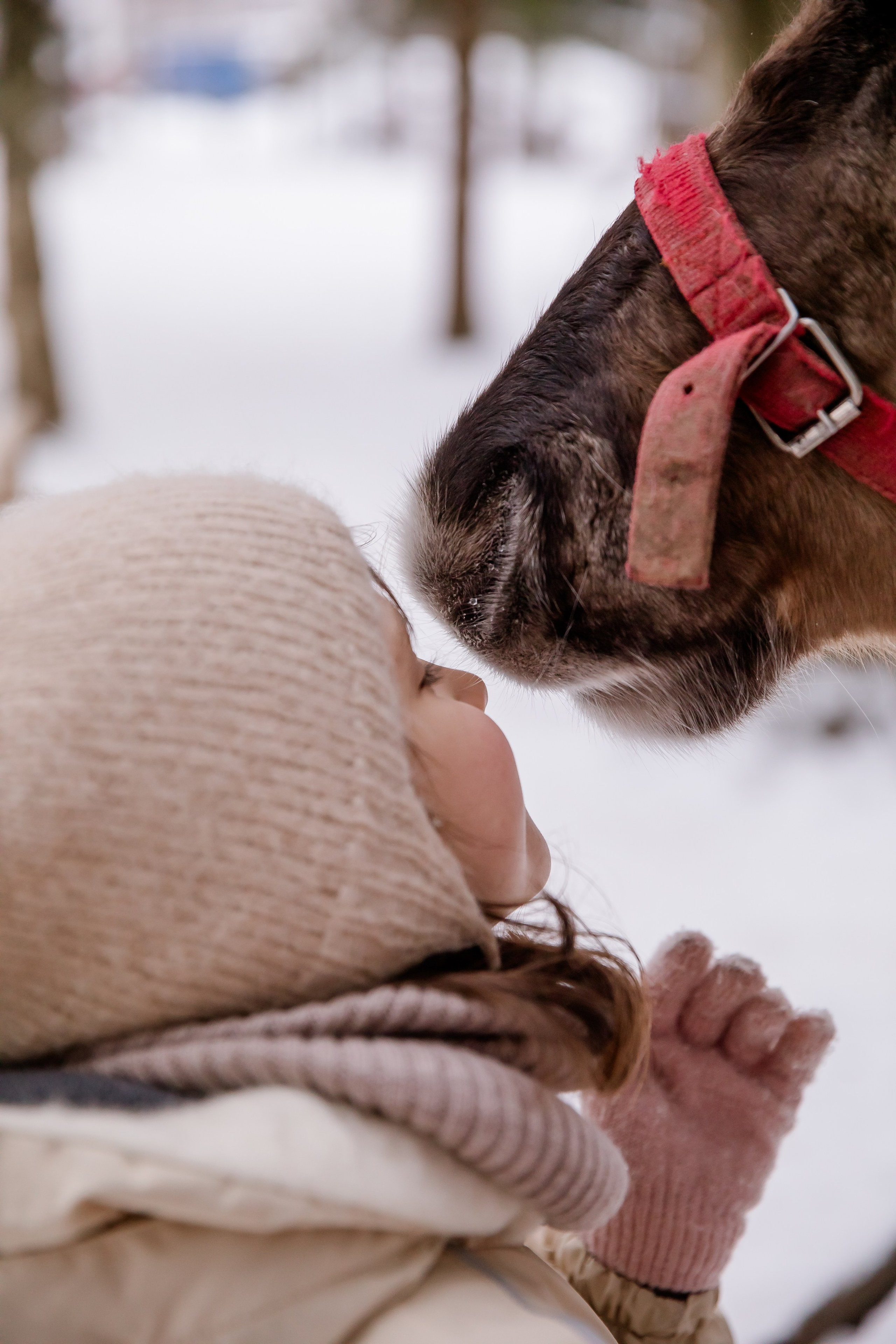 Дети. Семейный и детский фотограф в Москве и на Новой Риге Светлана Демина