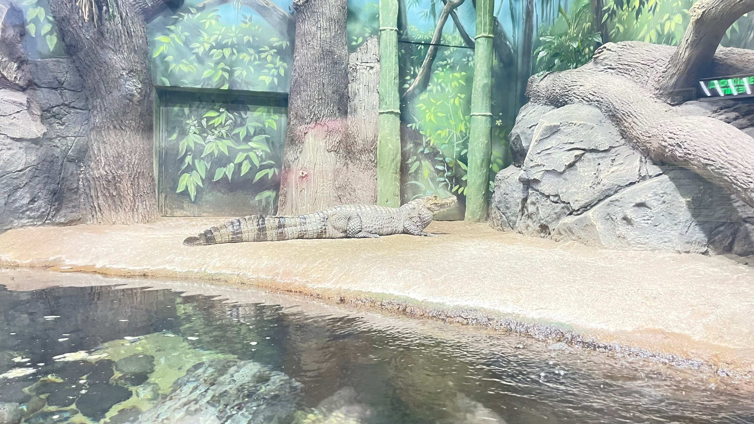 Тула | 19-20.08.2023. Галерея Фантим