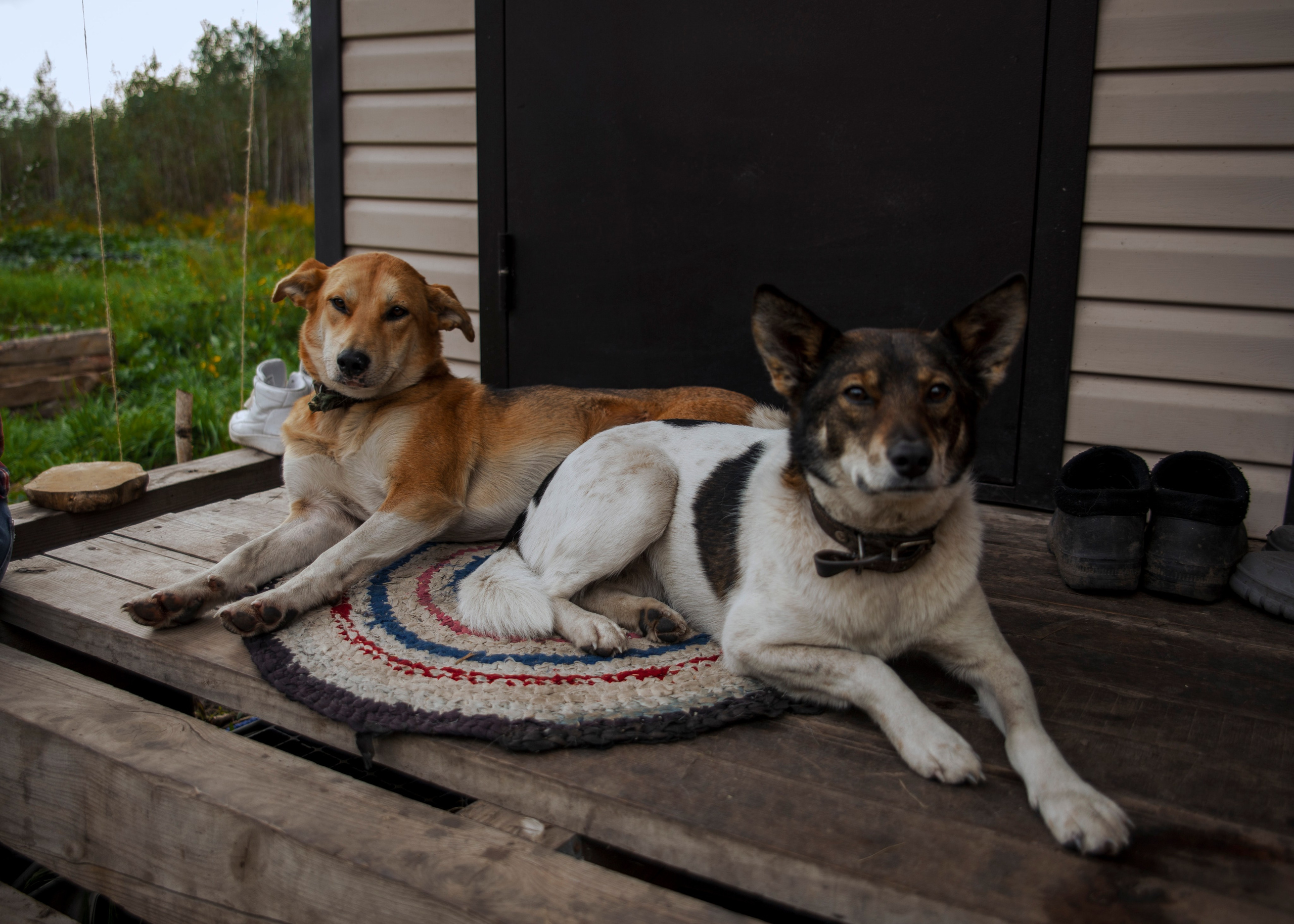 Backstage со съёмок фильма «Reverenсе». Портретный фотограф в Москве Дарья Цезария
