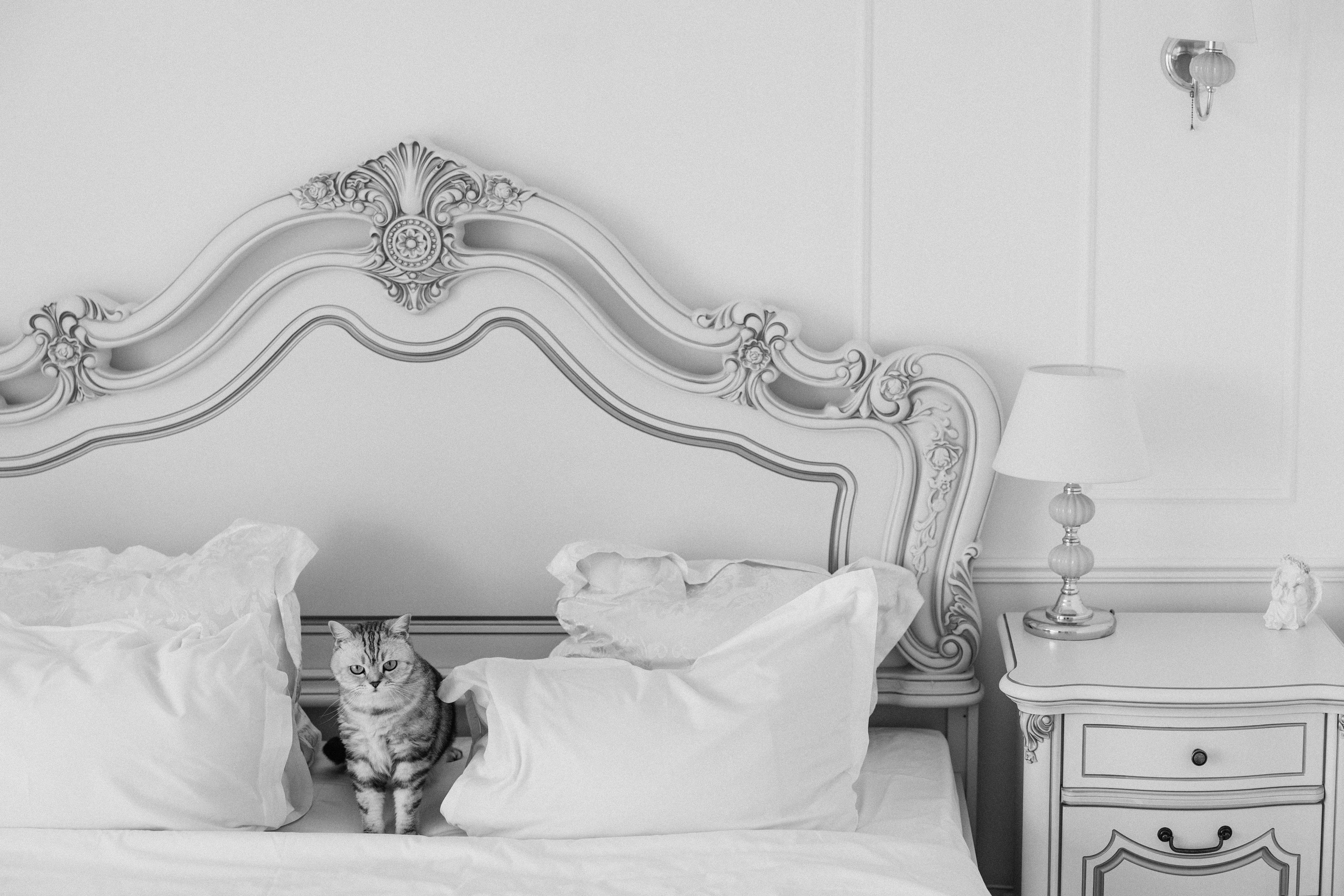 Влад + Женя. Александр Видякин Фотограф в Хакасии и Красноярском крае