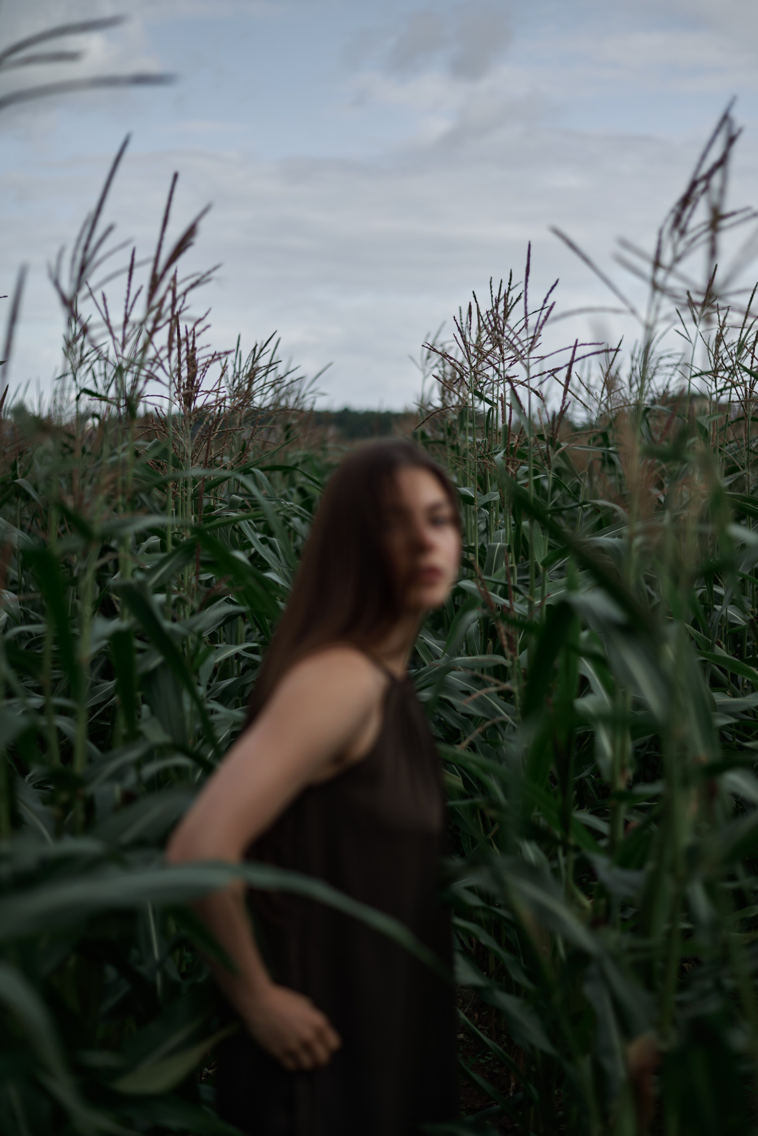 Рита — Corn Field. Photographer Bangkok — Pattaya | фотограф Бангкок — Паттайа
