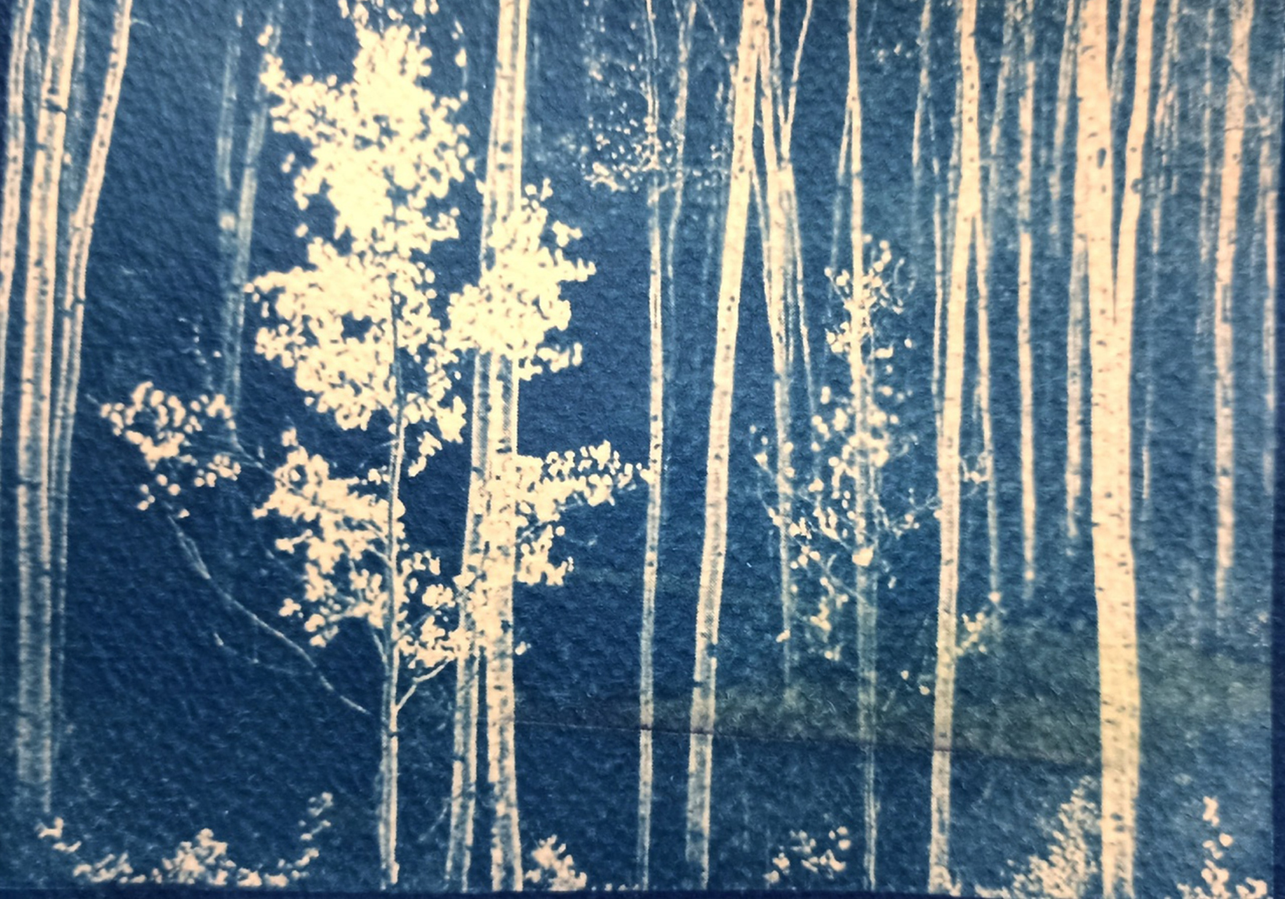 Ира Бринкус | Лес. Private image