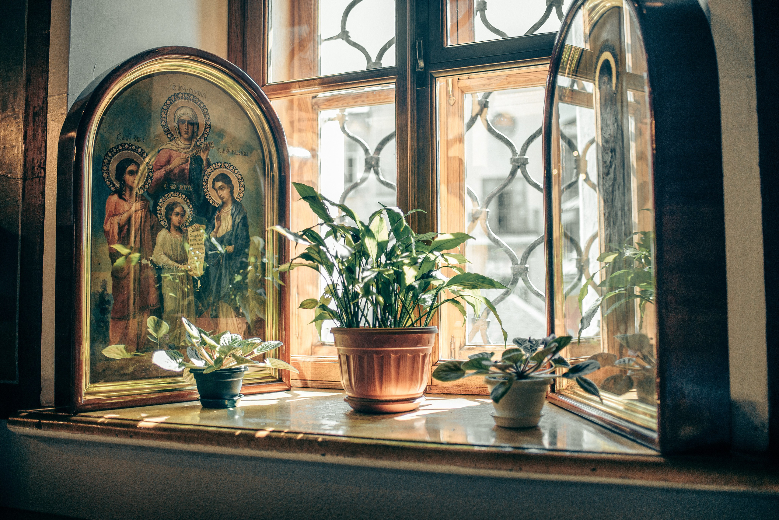 Крещение Софии. Фотограф на выписку из роддома в Москве и МО