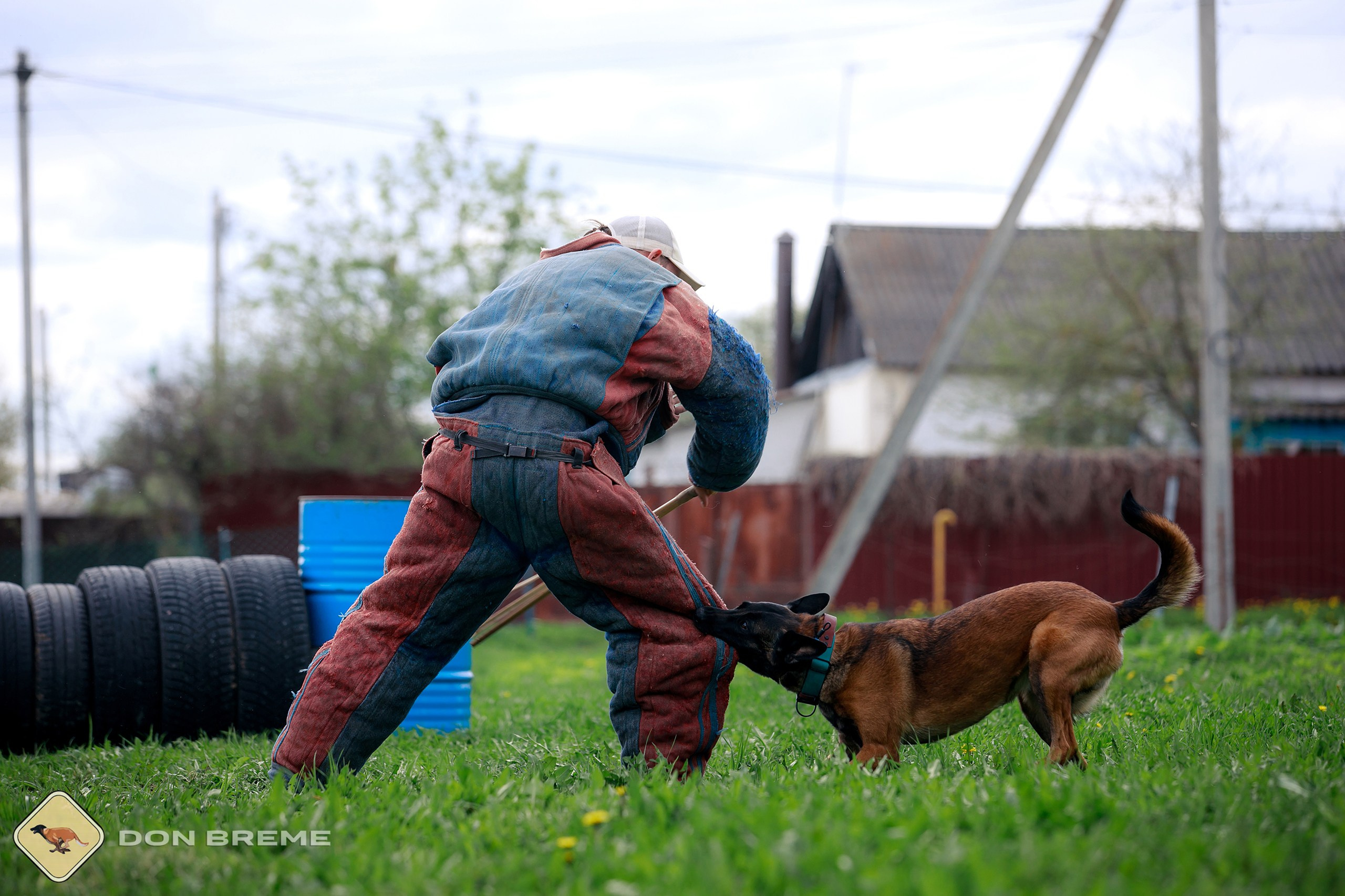 Семинар для фигурантов, день 2. Фотограф-анималист Mary Mart — Москва, Питер