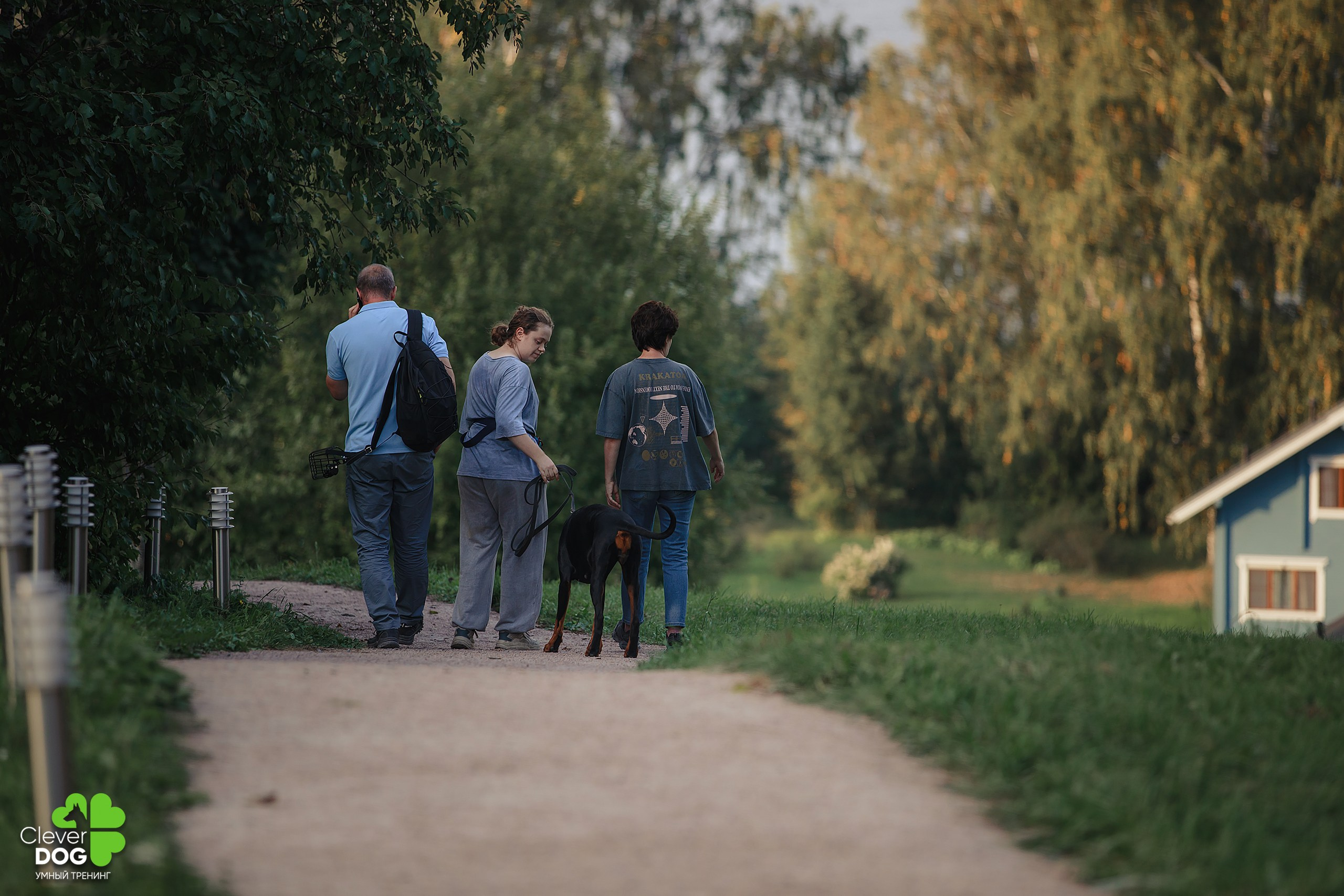 Кинологический лагерь CleverDog, 2024. Фотограф-анималист Mary Mart — Москва, Питер