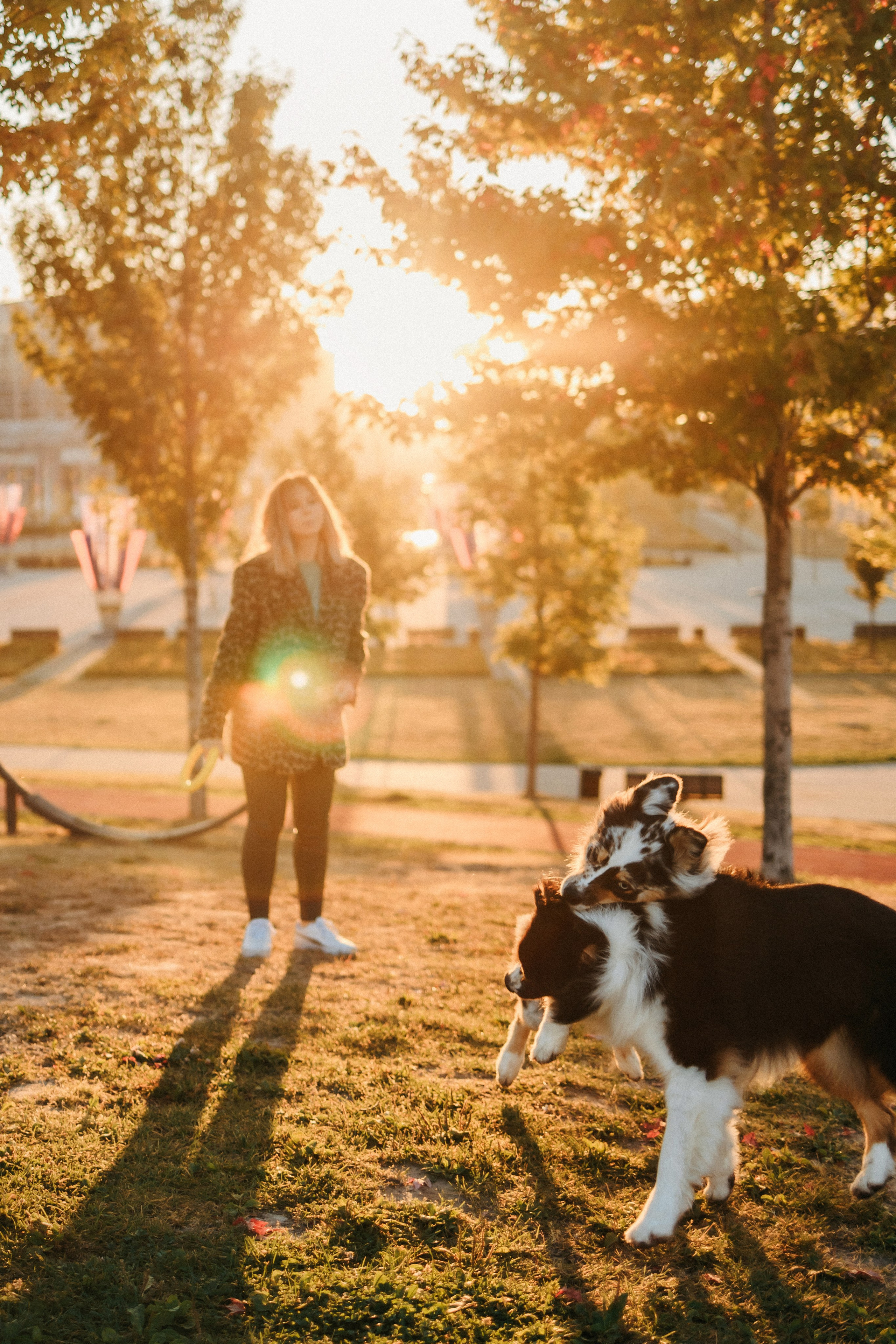 Аня, Чарли и Ева. Фотограф-анималист Елена Радченко, Москва