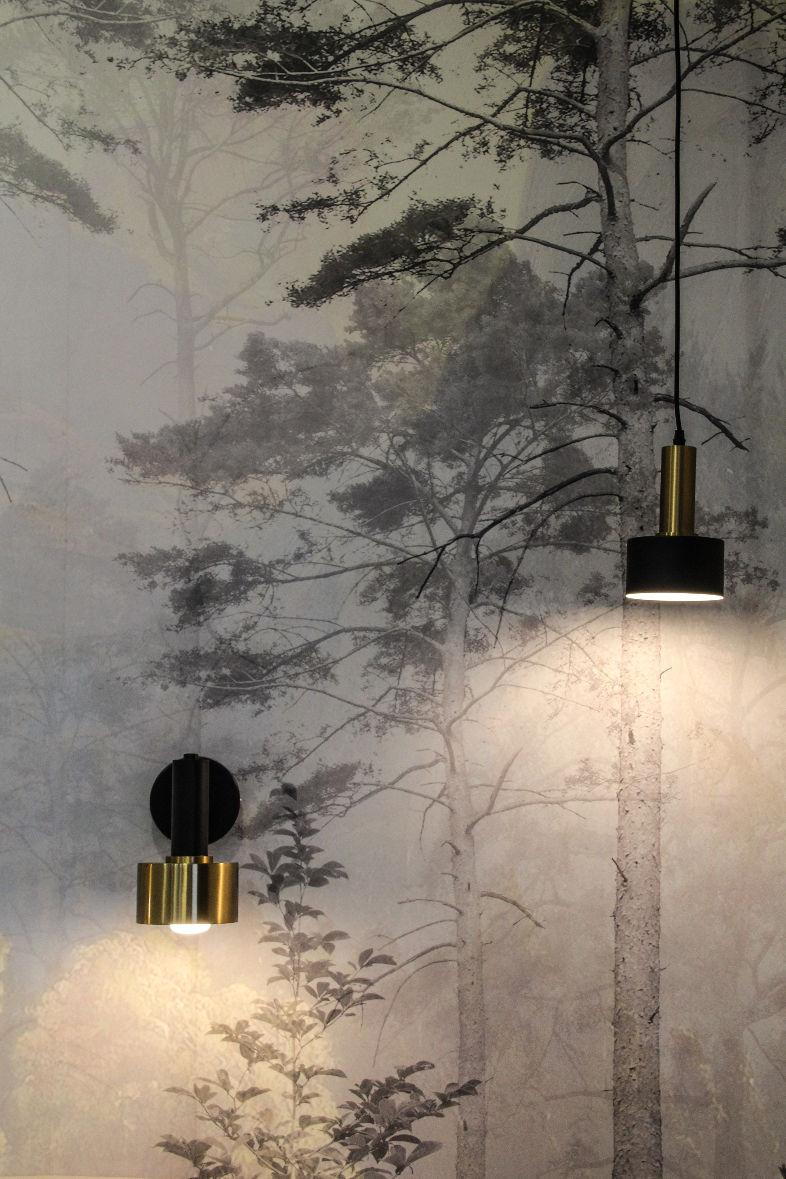 Квартира 3. Семейный фотодуэт Ирина и Николай Власьевы. Фотосессии в Новосибирске