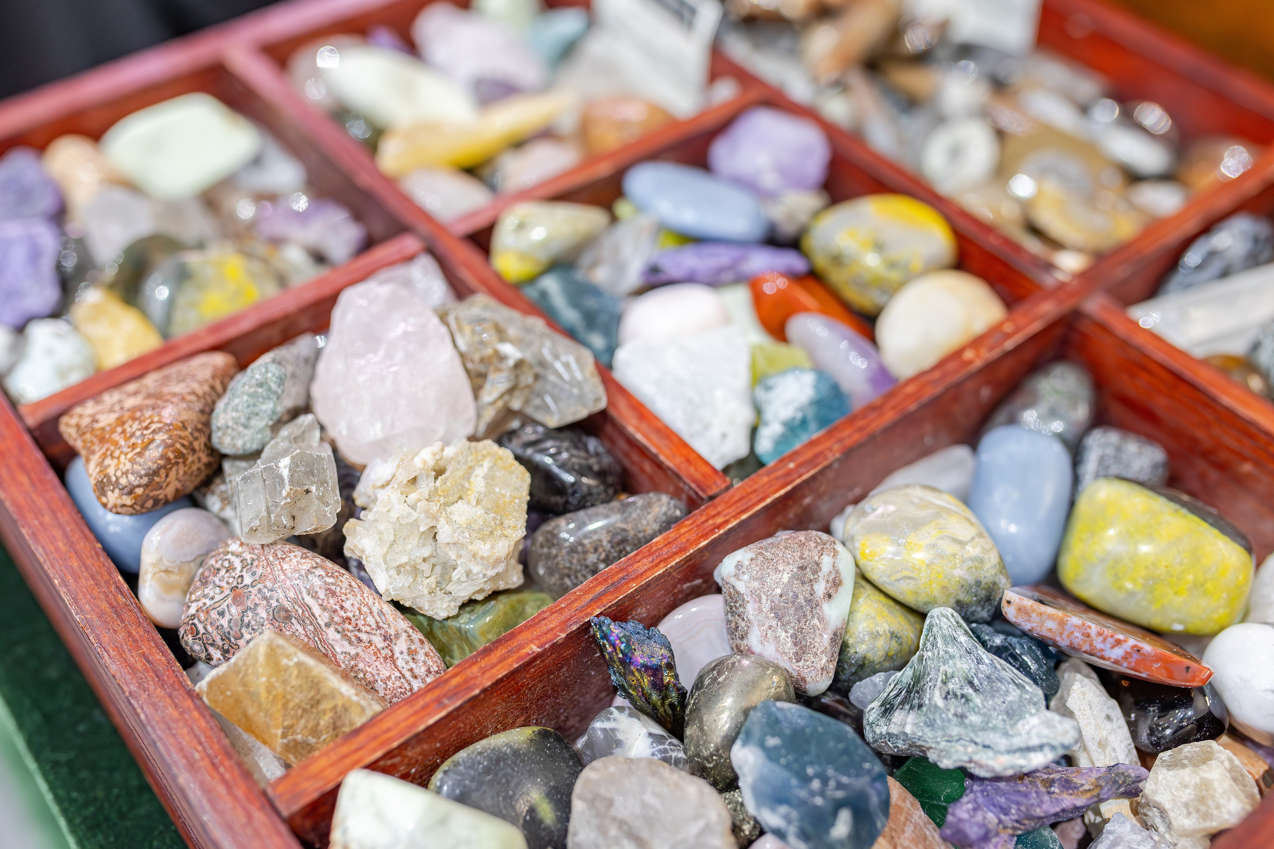 Монстериум апрель 2026. Александра Куликова фотограф, Москва