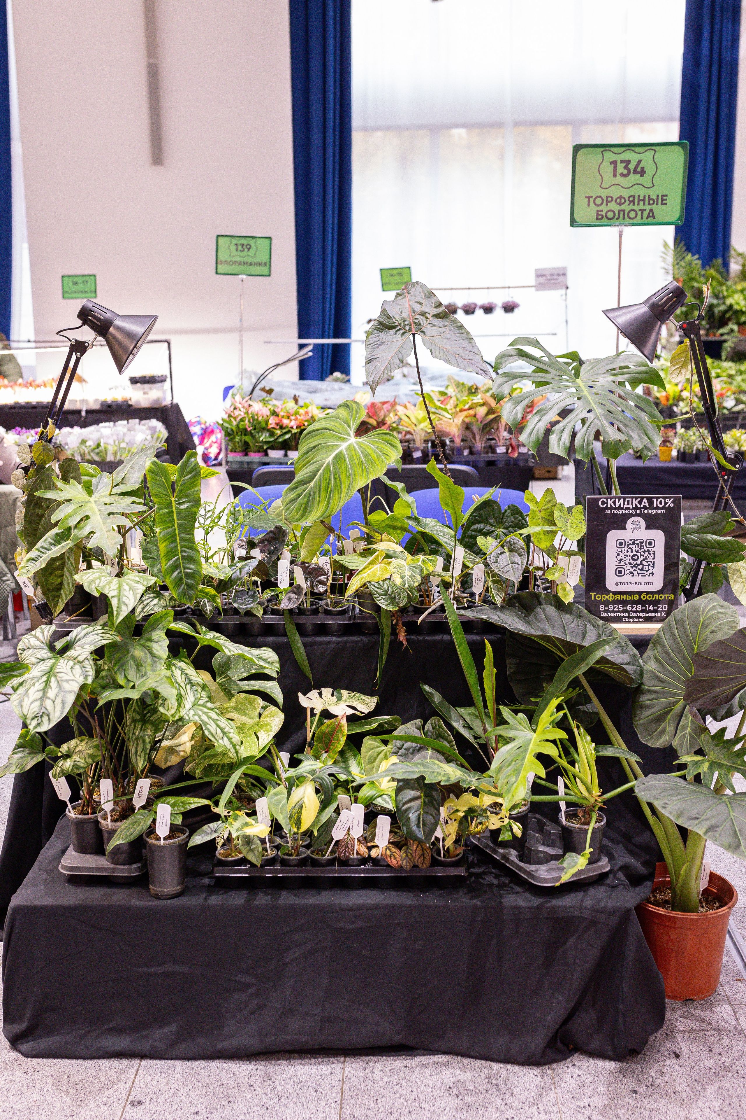 Монстериум 11–12 октября. Александра Куликова фотограф, Москва