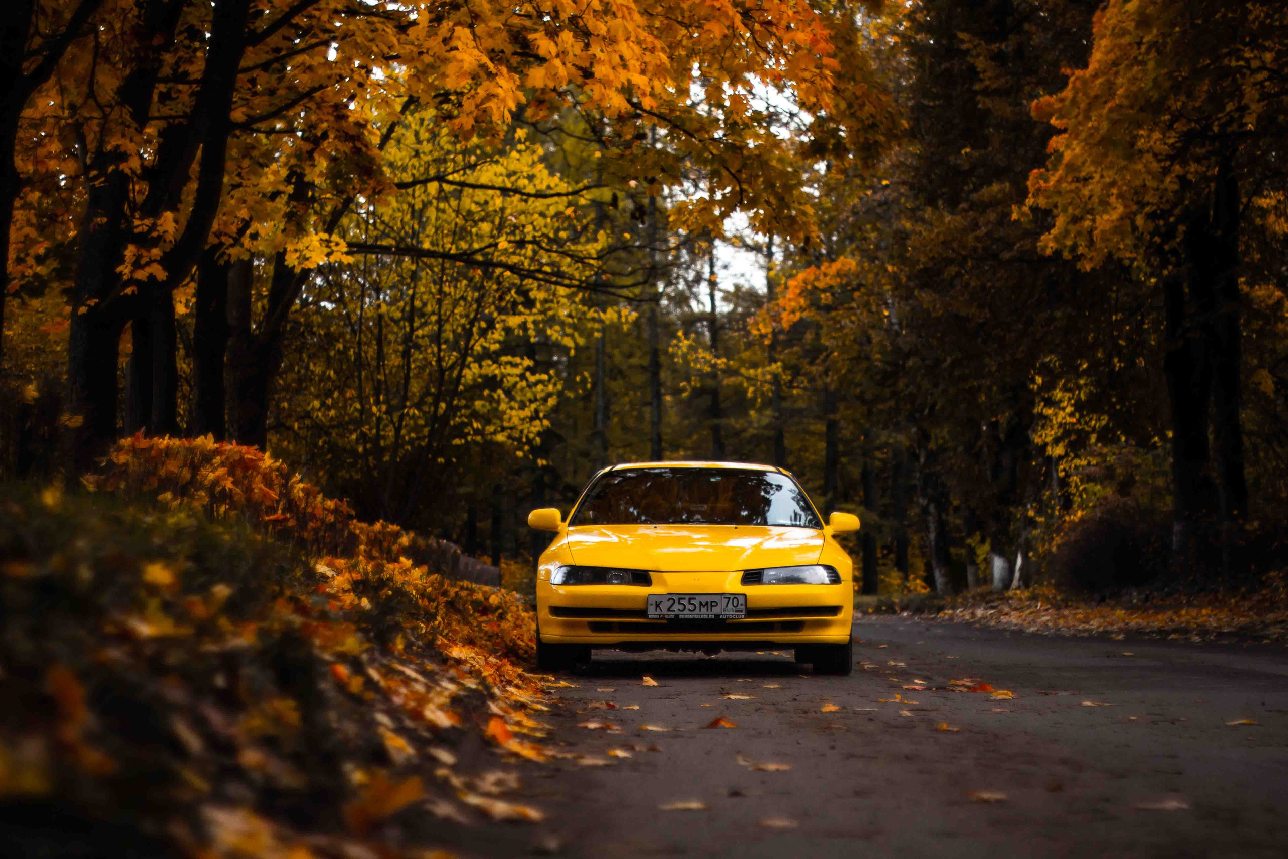 Осеннее настроение. Александр Попов