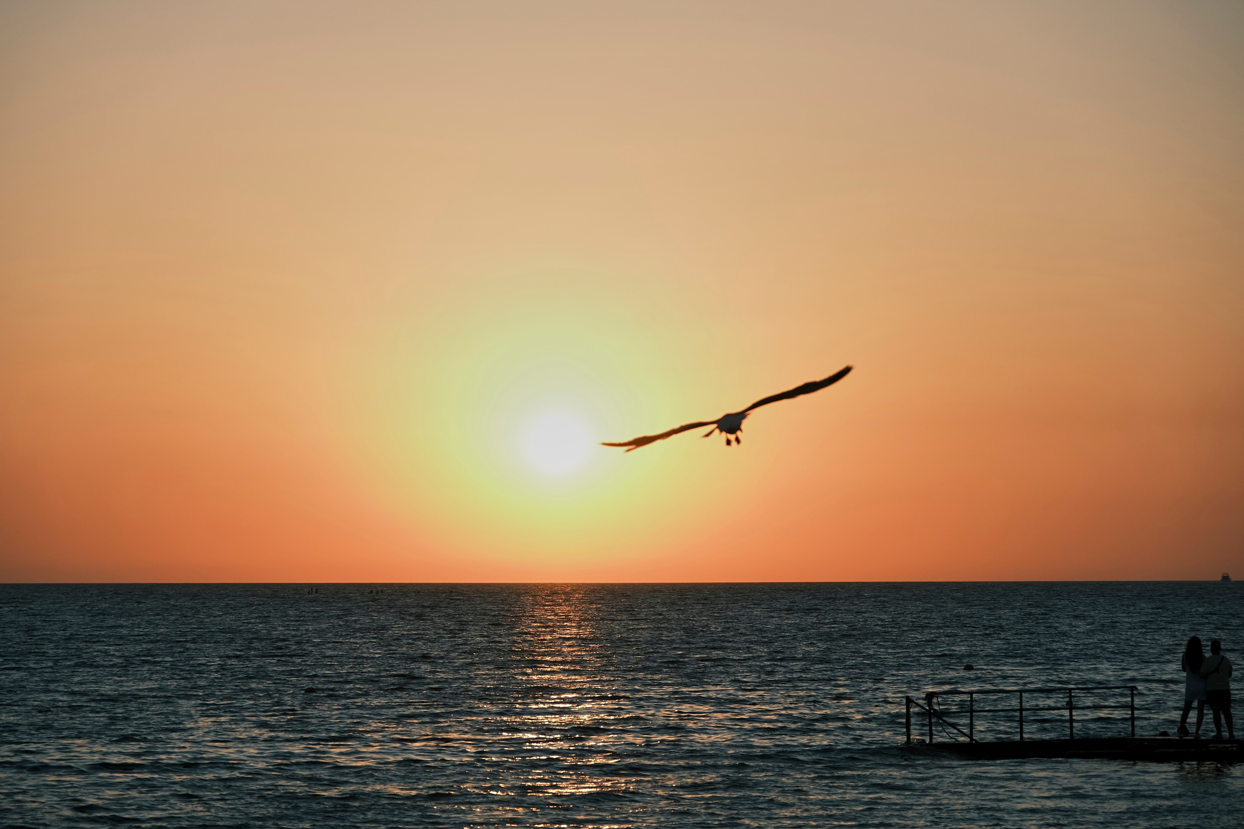 Путешествия/Живопись. Организация фото/видео съемки, Москва