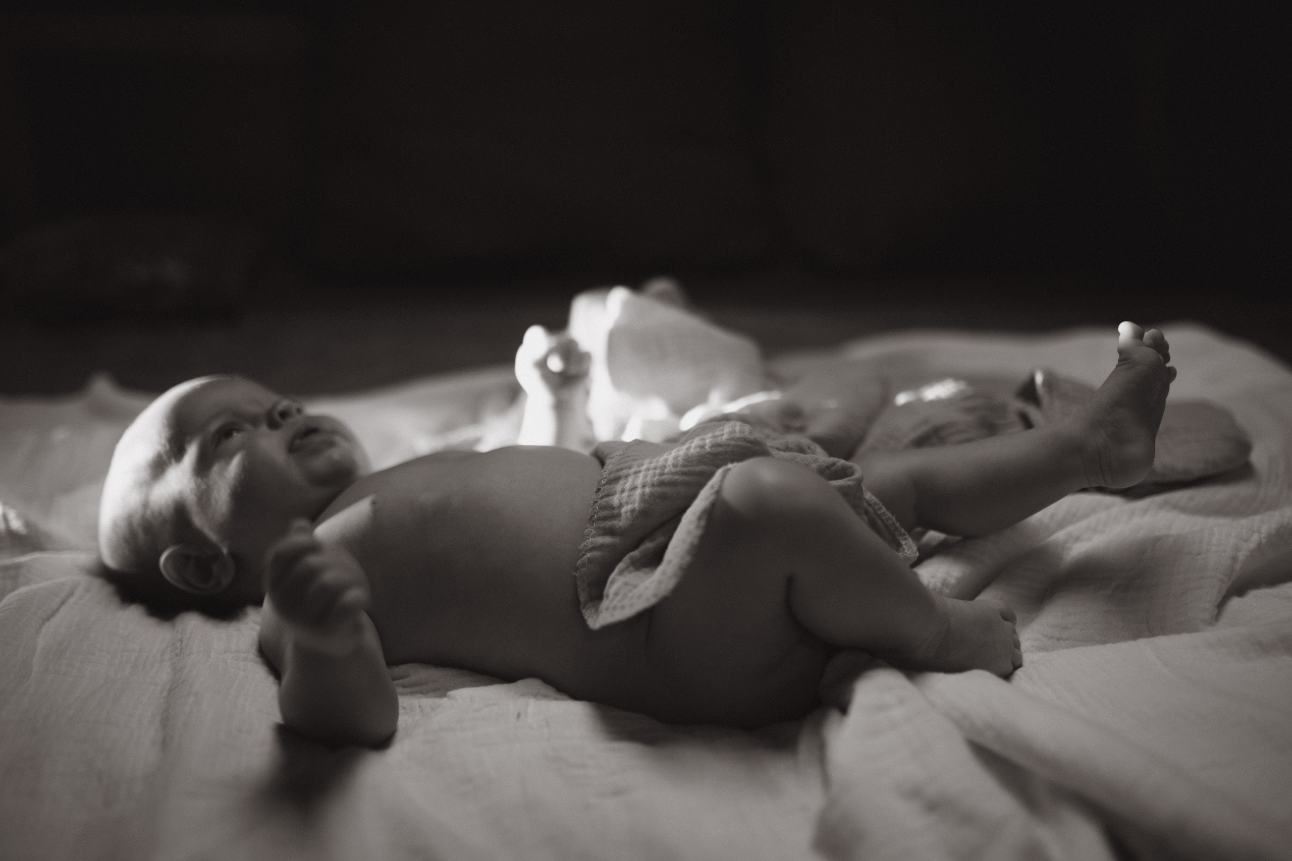 Семейная домашняя история в г. Тихвин. Услуги