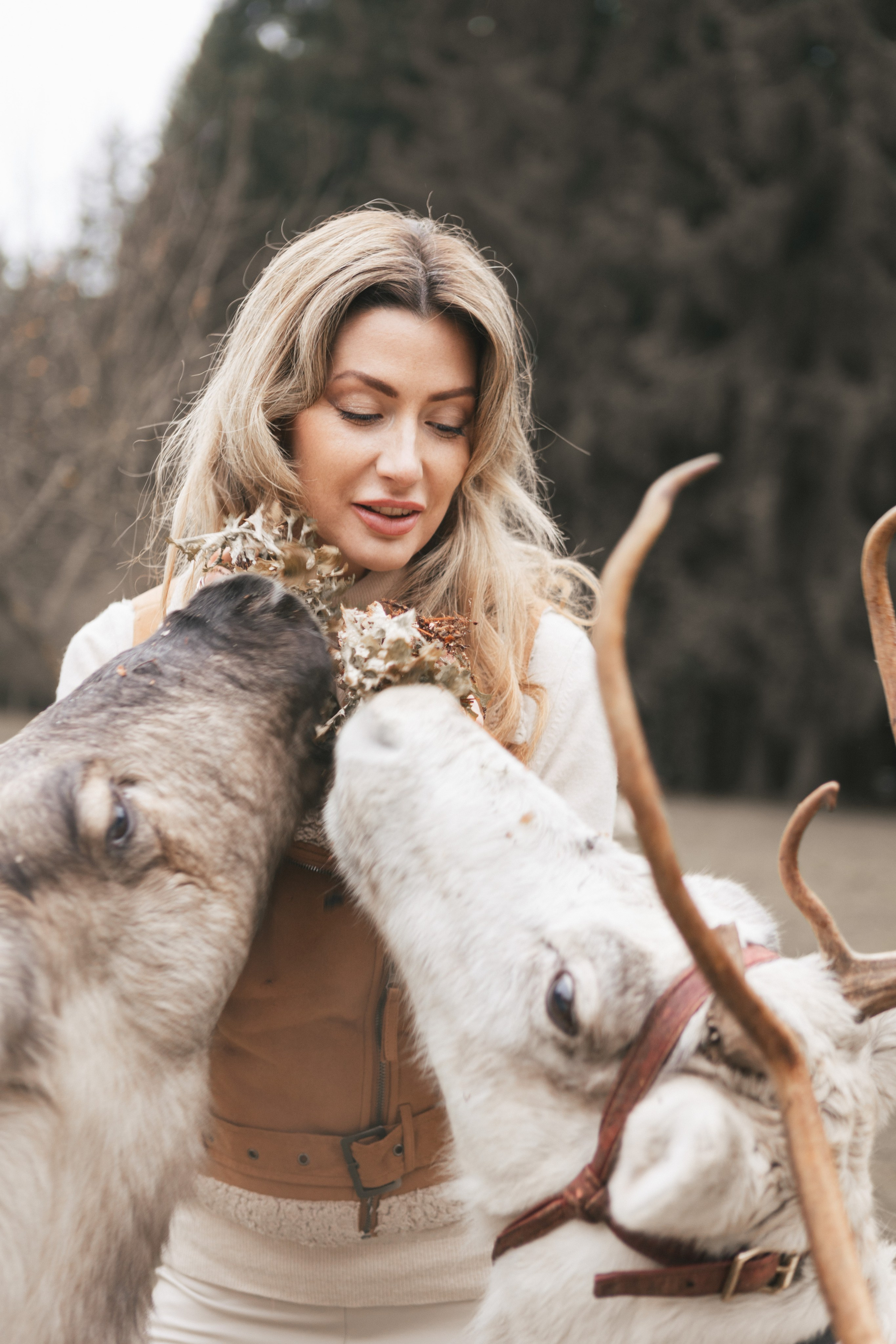 Экспресс с оленями. Свадебный и семейный фотограф Анастасия Багрец