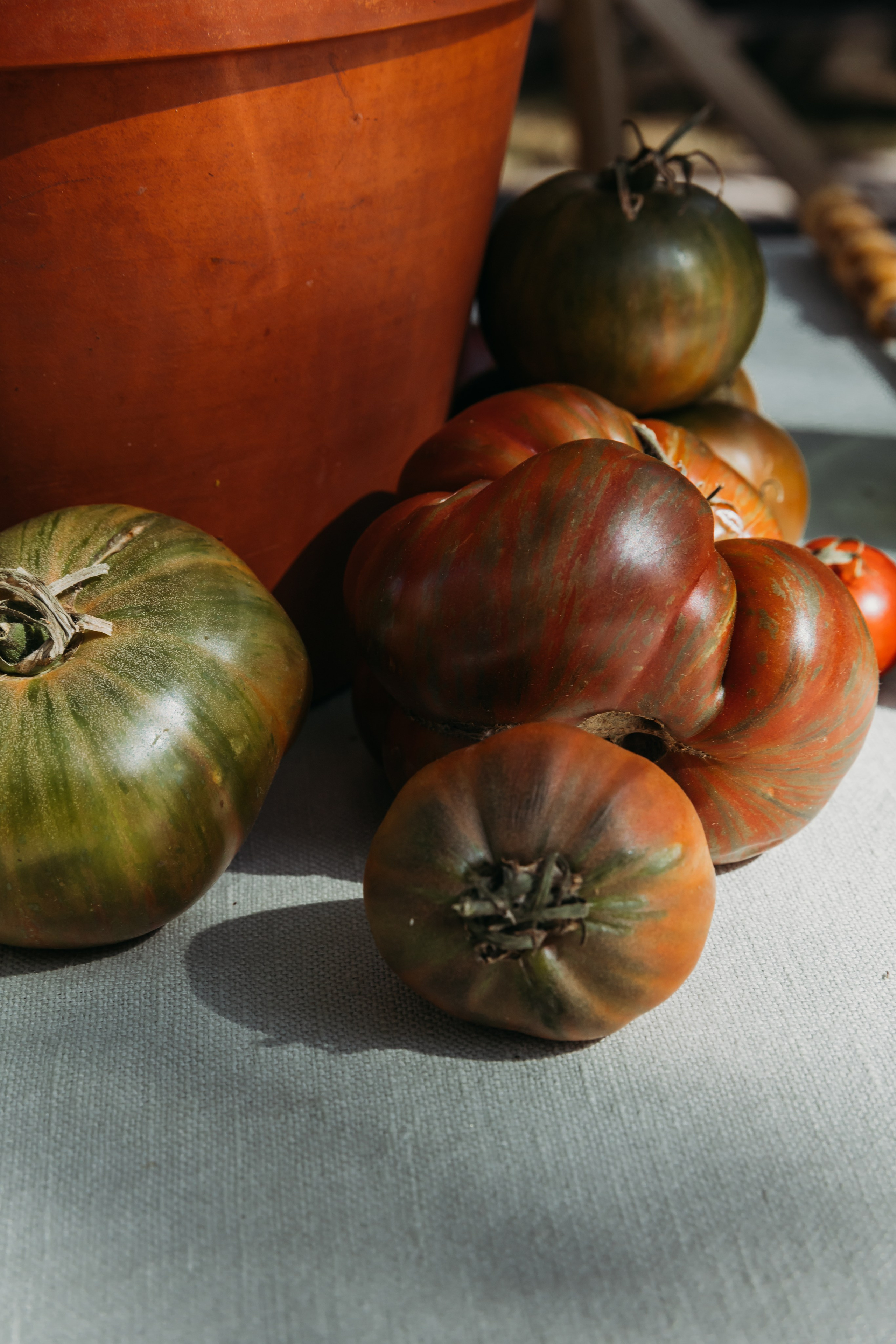 Родные люди «Итальянский день». Леся Гаранина. Семейный фотограф/видеограф Москва и область