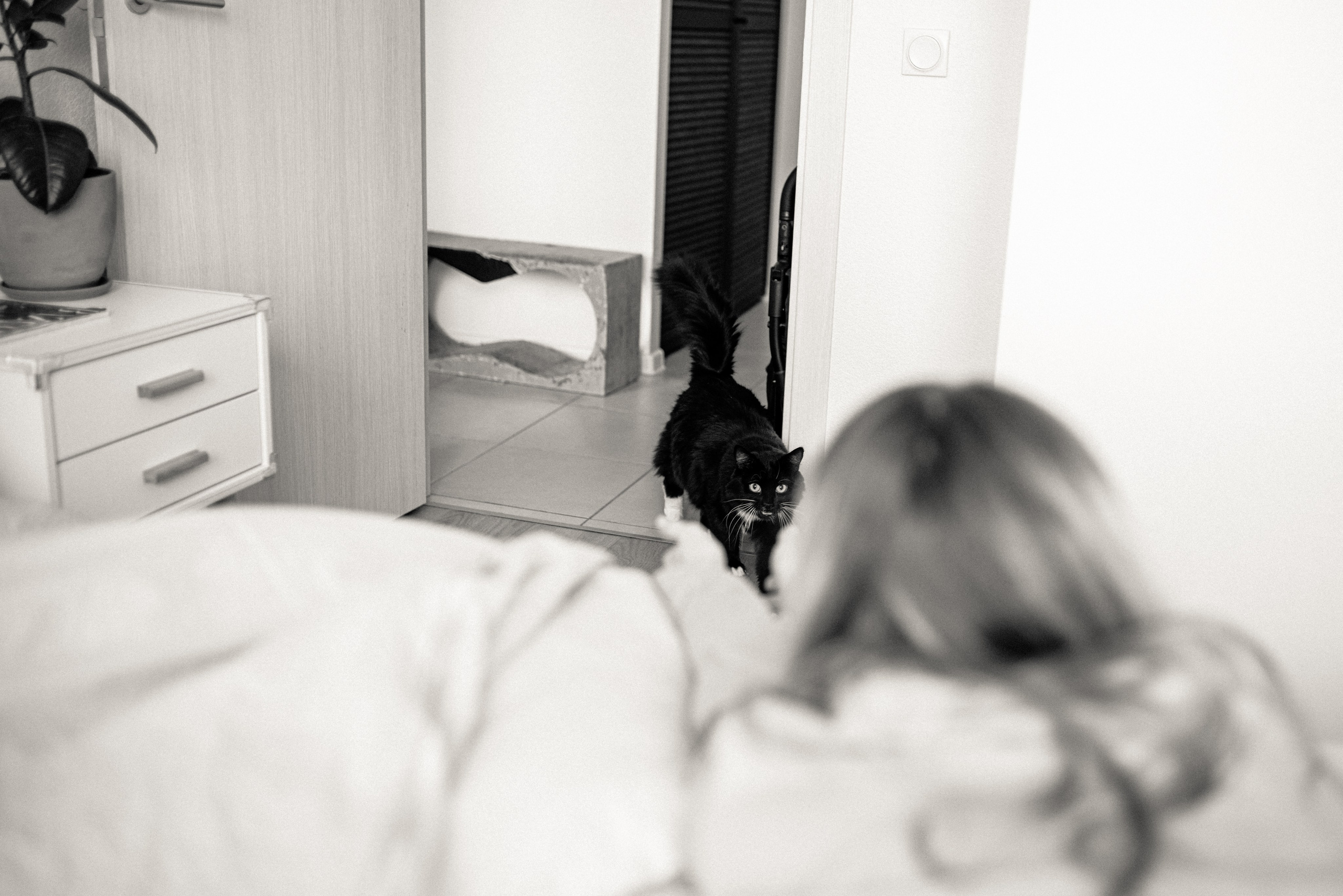 Предновогоднее настроение. Свадебный и семейный фотограф в Москве Julia Juice