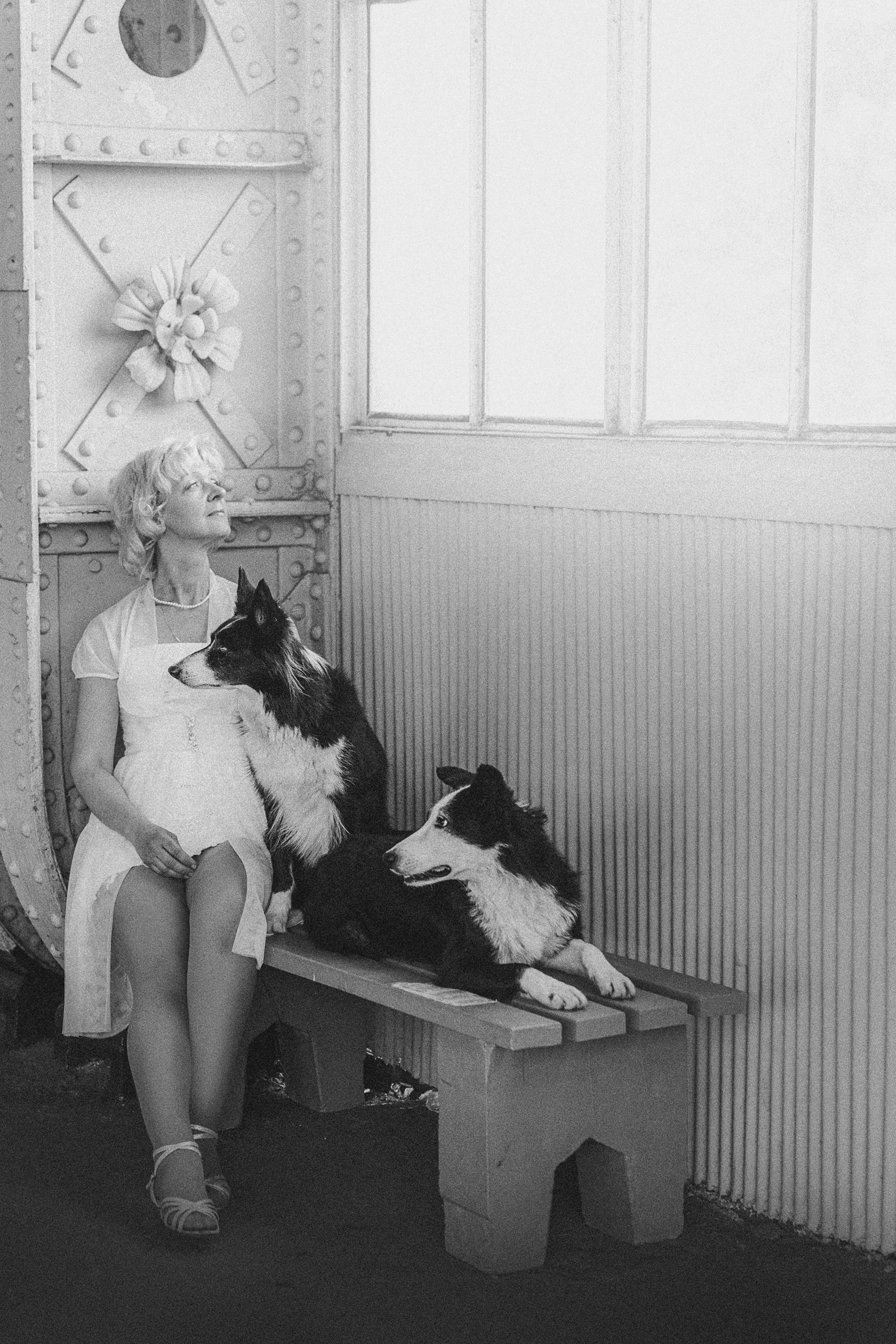 Таня, Марта и Клипса. Фотограф анималист в Москве и Санкт-Петербурге Свиридова Анна