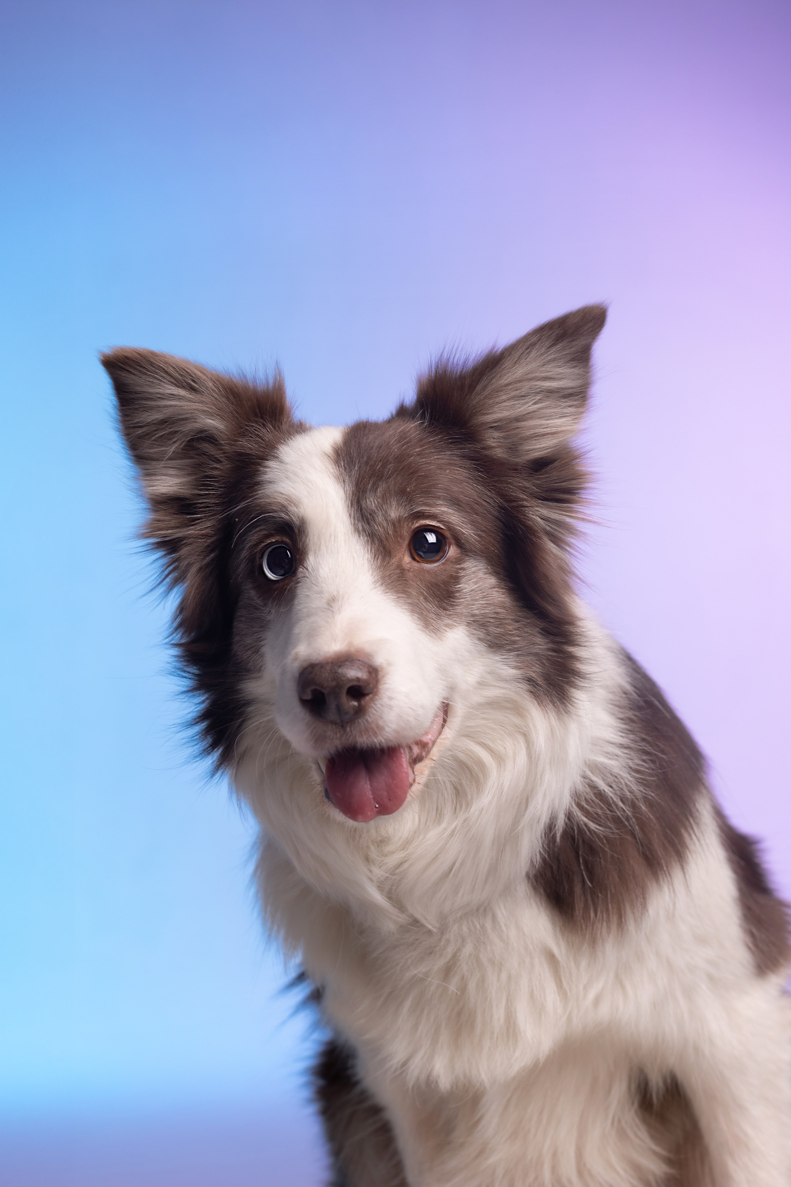 Неон. Фотограф анималист Кристина Карпова, Москва