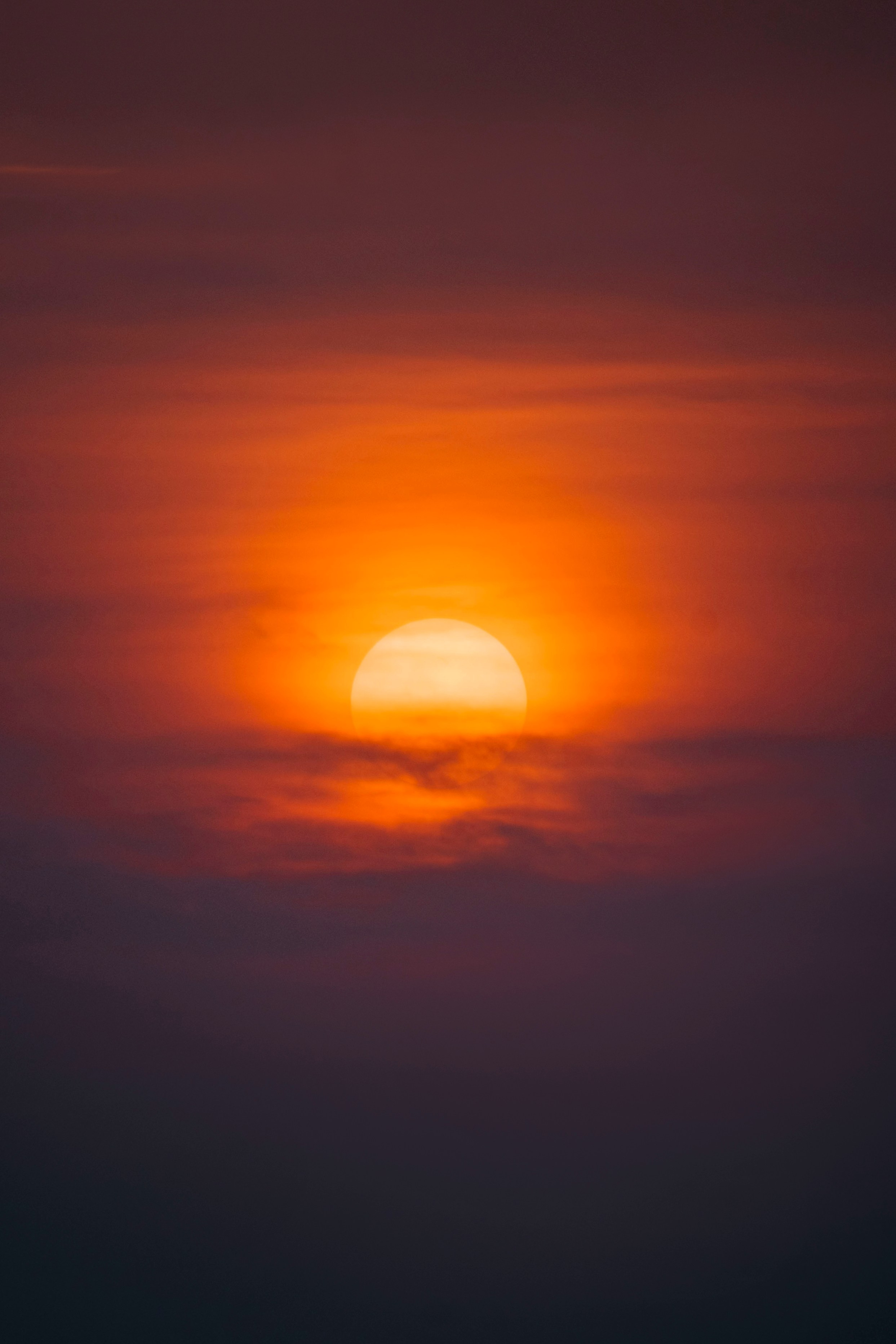 Гоа. индия. Iraogo