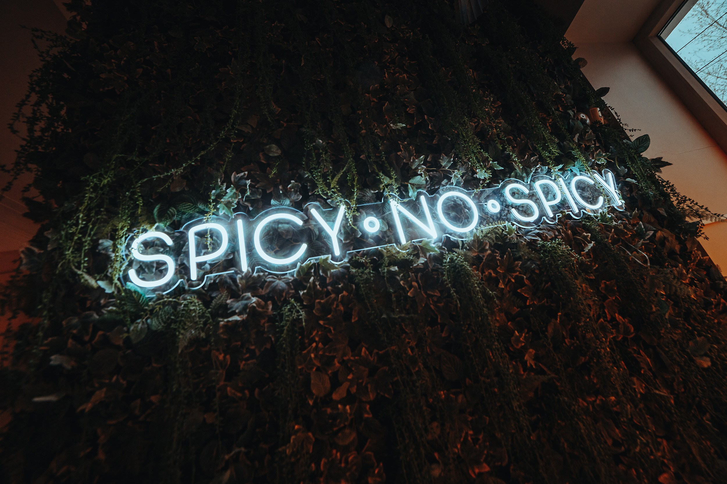 Гастротур 2024. Репортажный (Event) фотограф в Барнауле | Даниил Маркин | Качество и вайб