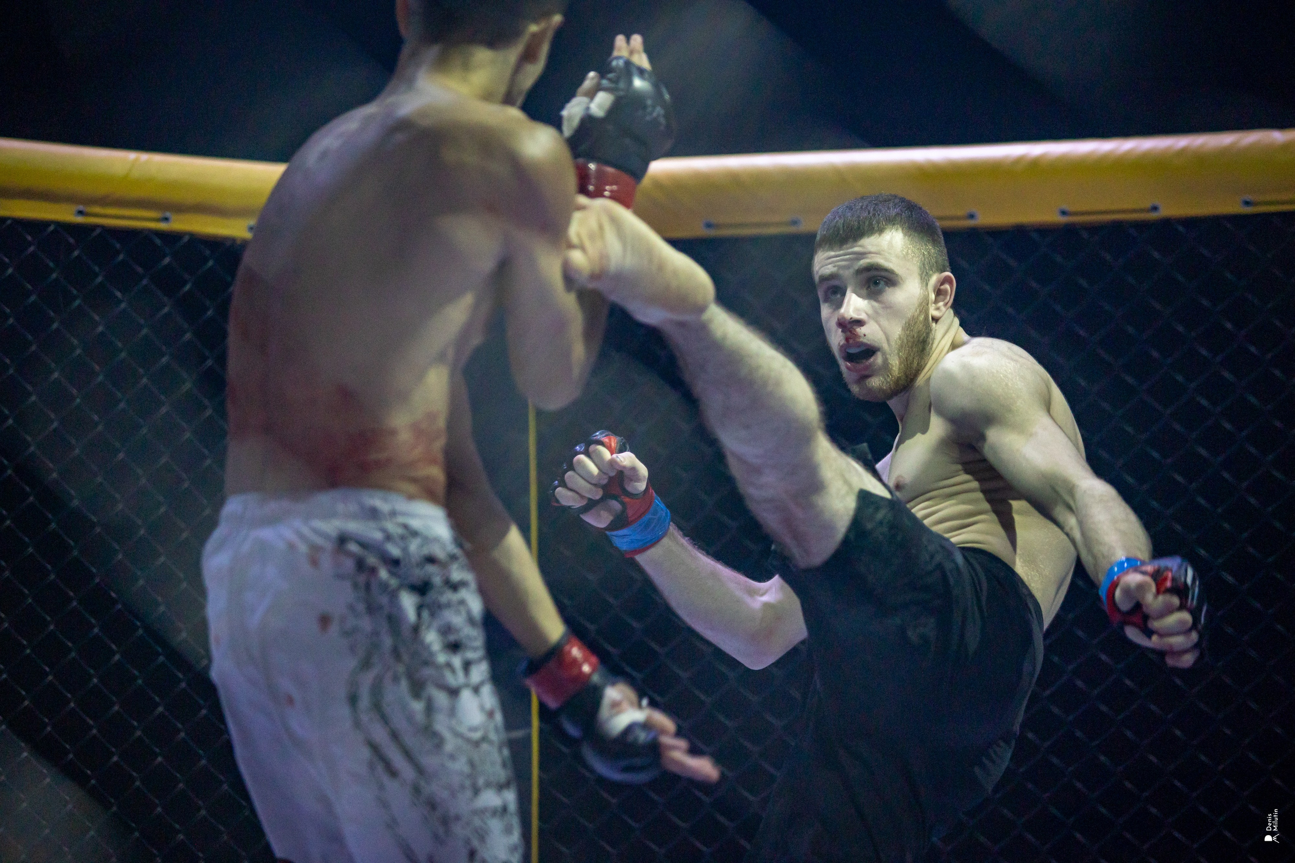 Бои в клетке «Северный Воин». Портретный фотограф Денис Милютин