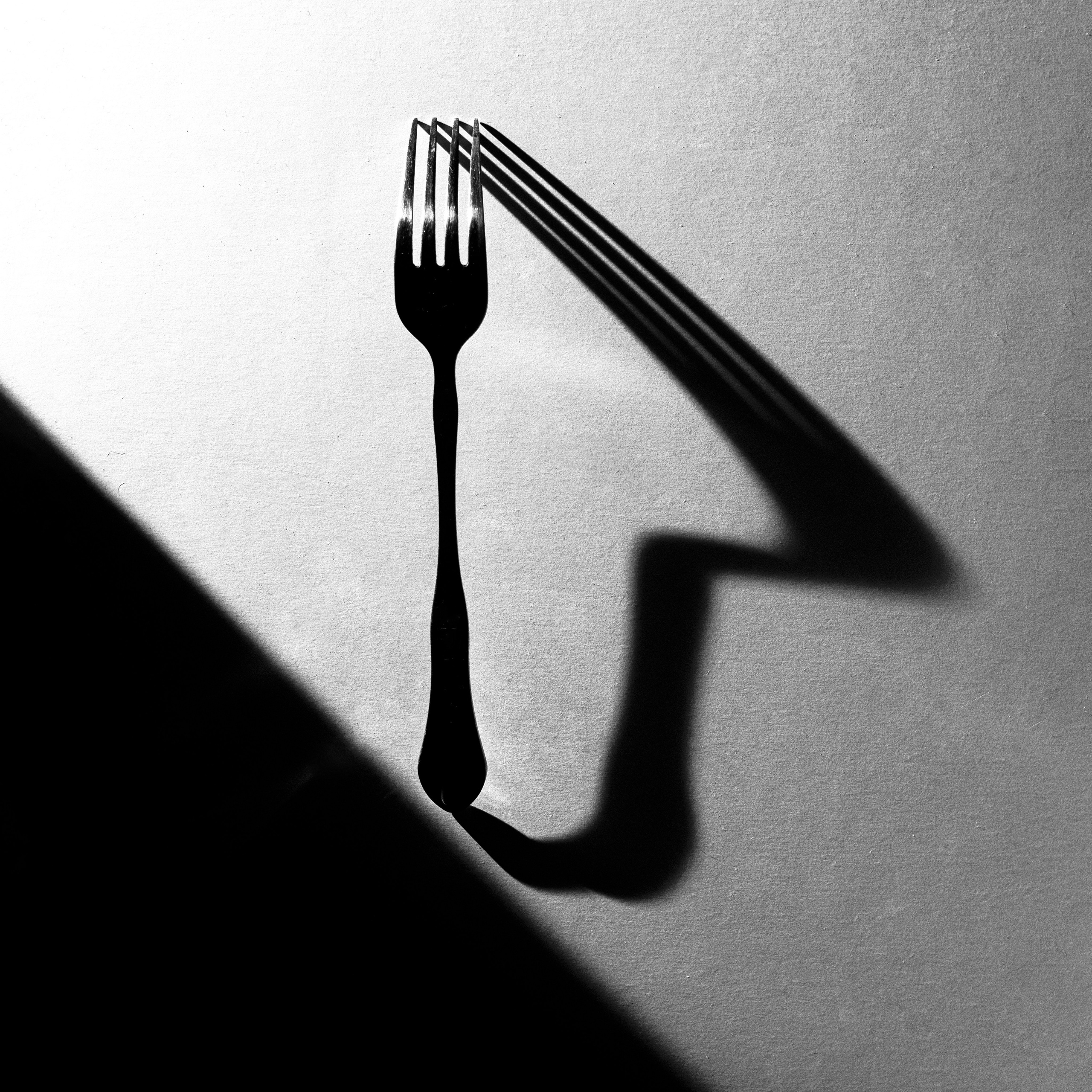 Профессиональная предметная съёмка