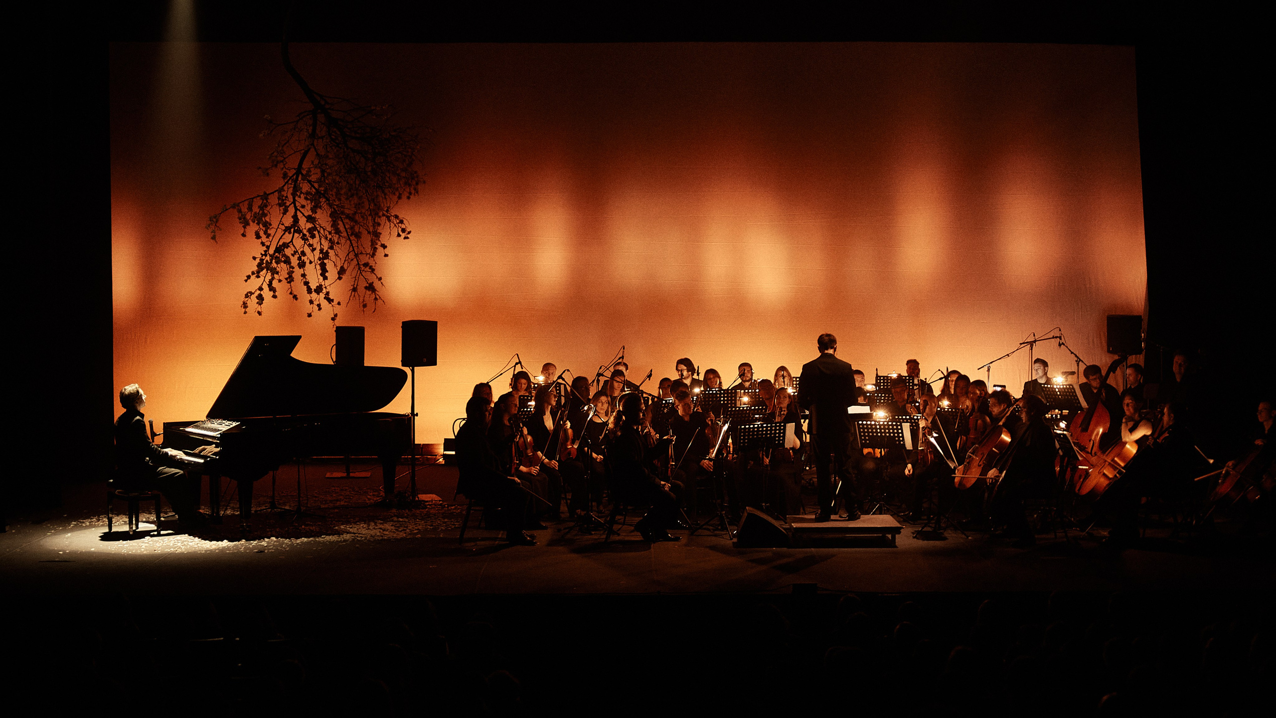 Никола Мельников / 2024. OOPS