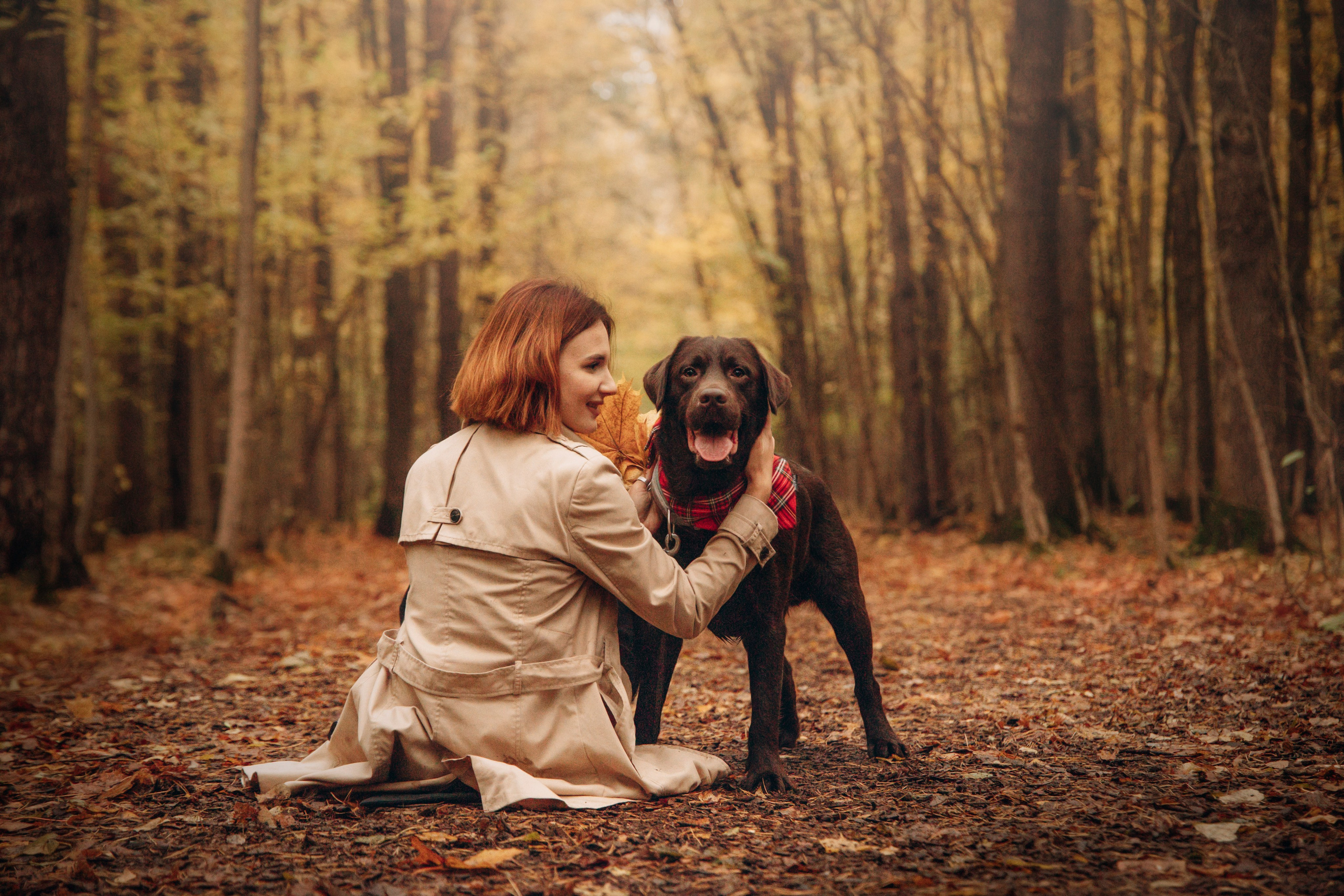 Арина и Сэмми. Фотограф — Анималист | Санкт-Петербург
