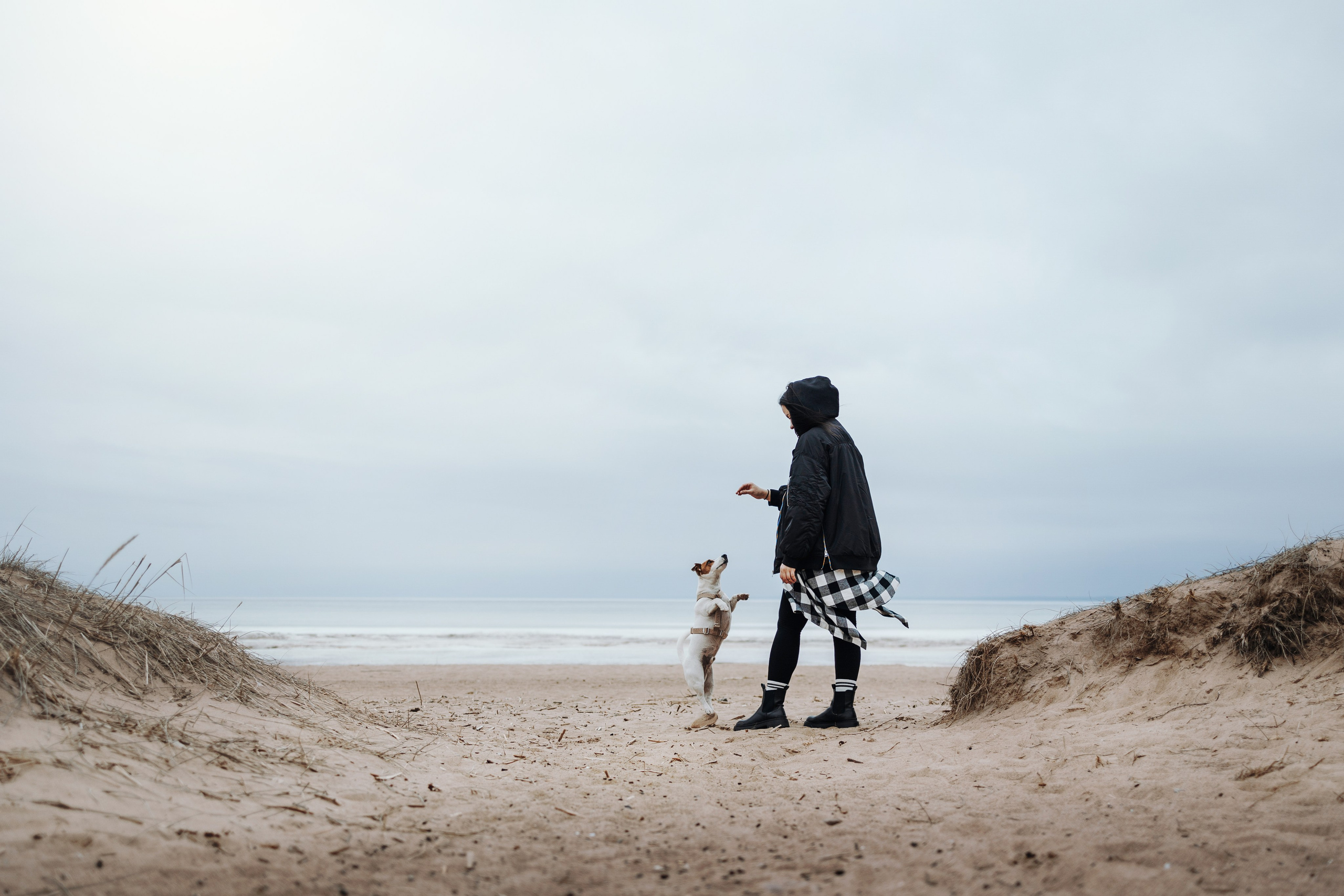 Саша и Джеки. Фотограф — Анималист | Санкт-Петербург