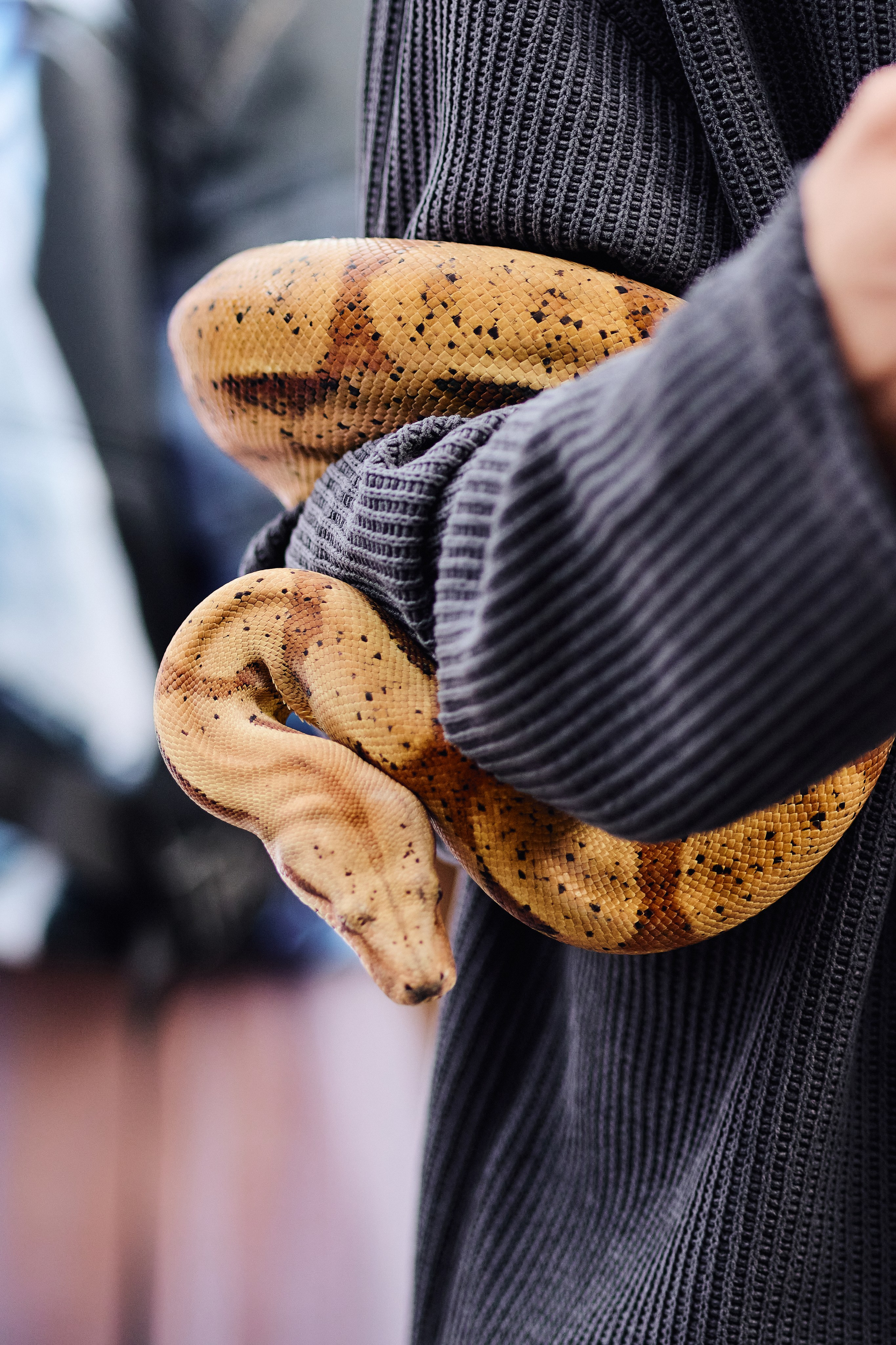 Международный фестиваль моды / закрытый показ в Домне. ФОТОГРАФ ЕКАТЕРИНБУРГ