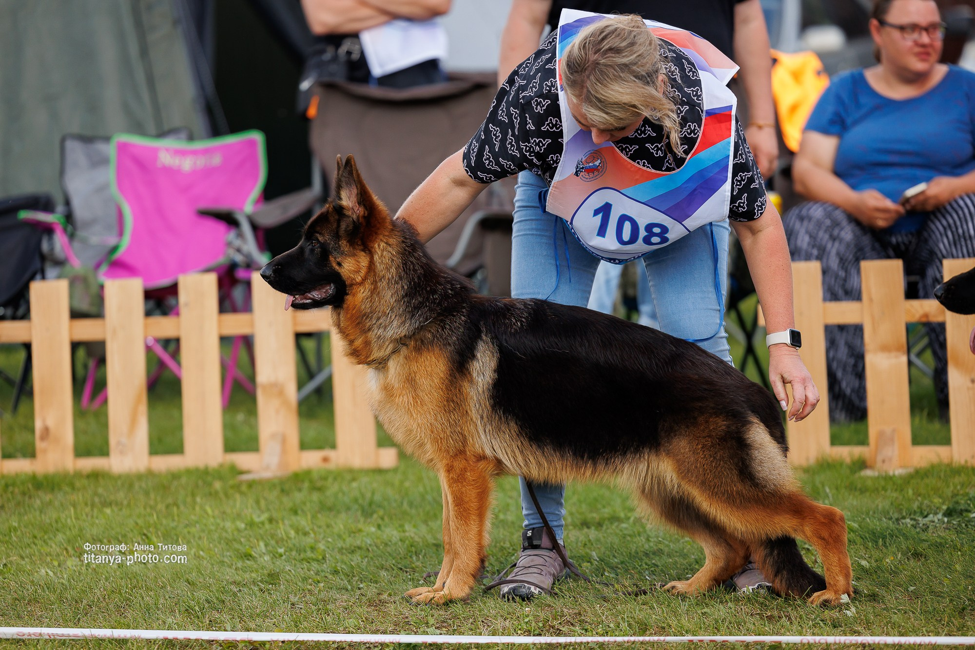 Немецкие овчарки: фото из рингов и вне ринга, мутпроба (фотографии с выставок). Фотограф собак, фотограф-анималист Аня Титова (Titanya). Москва