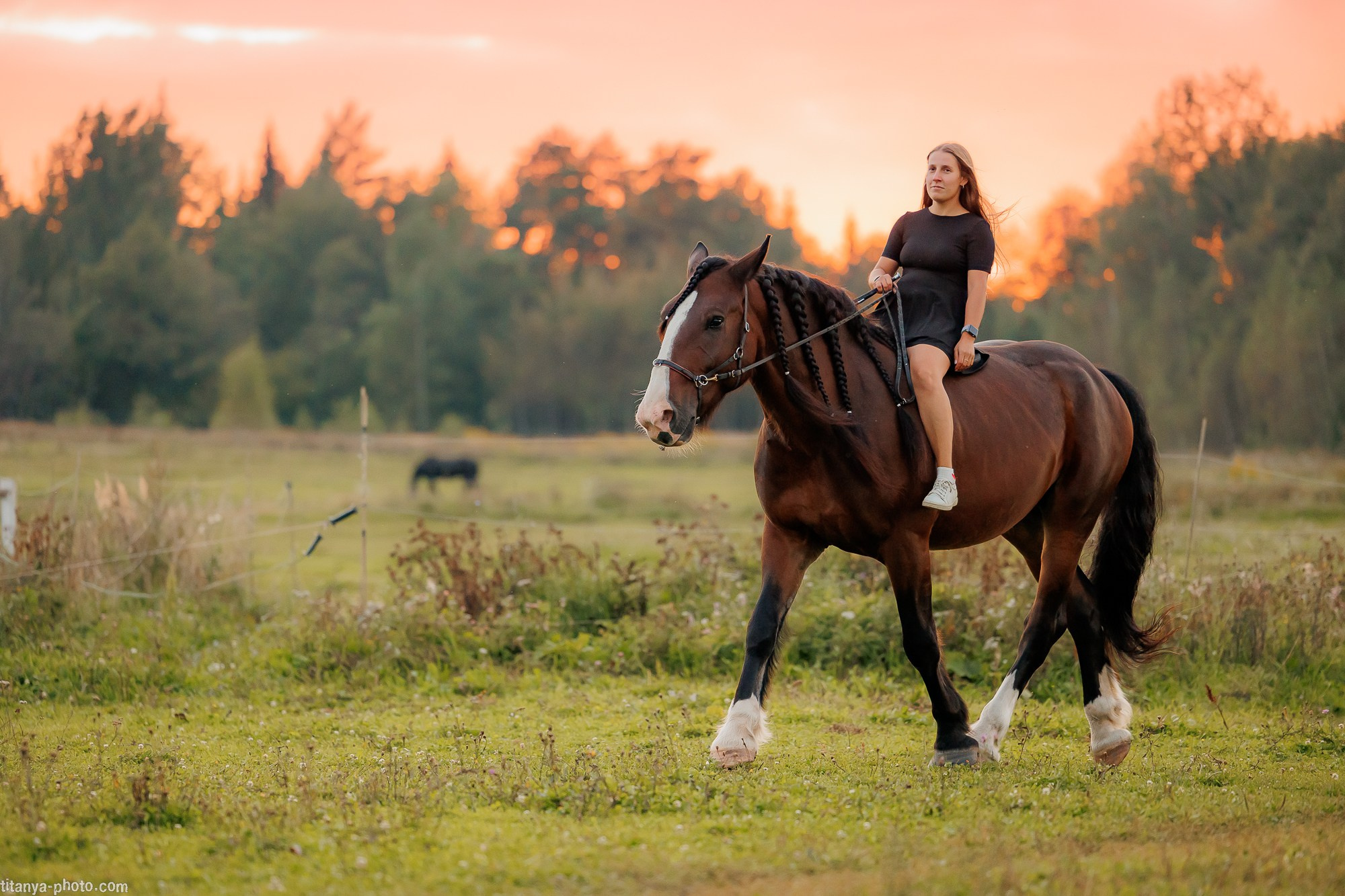 Закатная семейная фотосессия: про Настю и её дружную семью. Фотограф собак, фотограф-анималист Аня Титова (Titanya). Москва