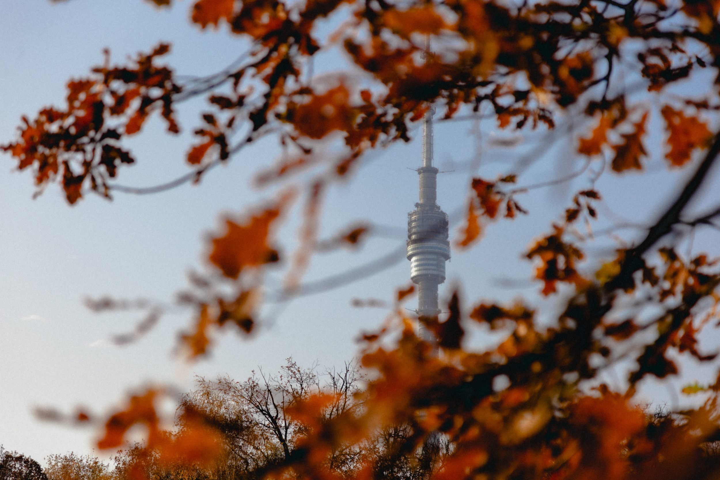 Дом. Фотограф в Москве и Санкт-Петербурге Саша Кар