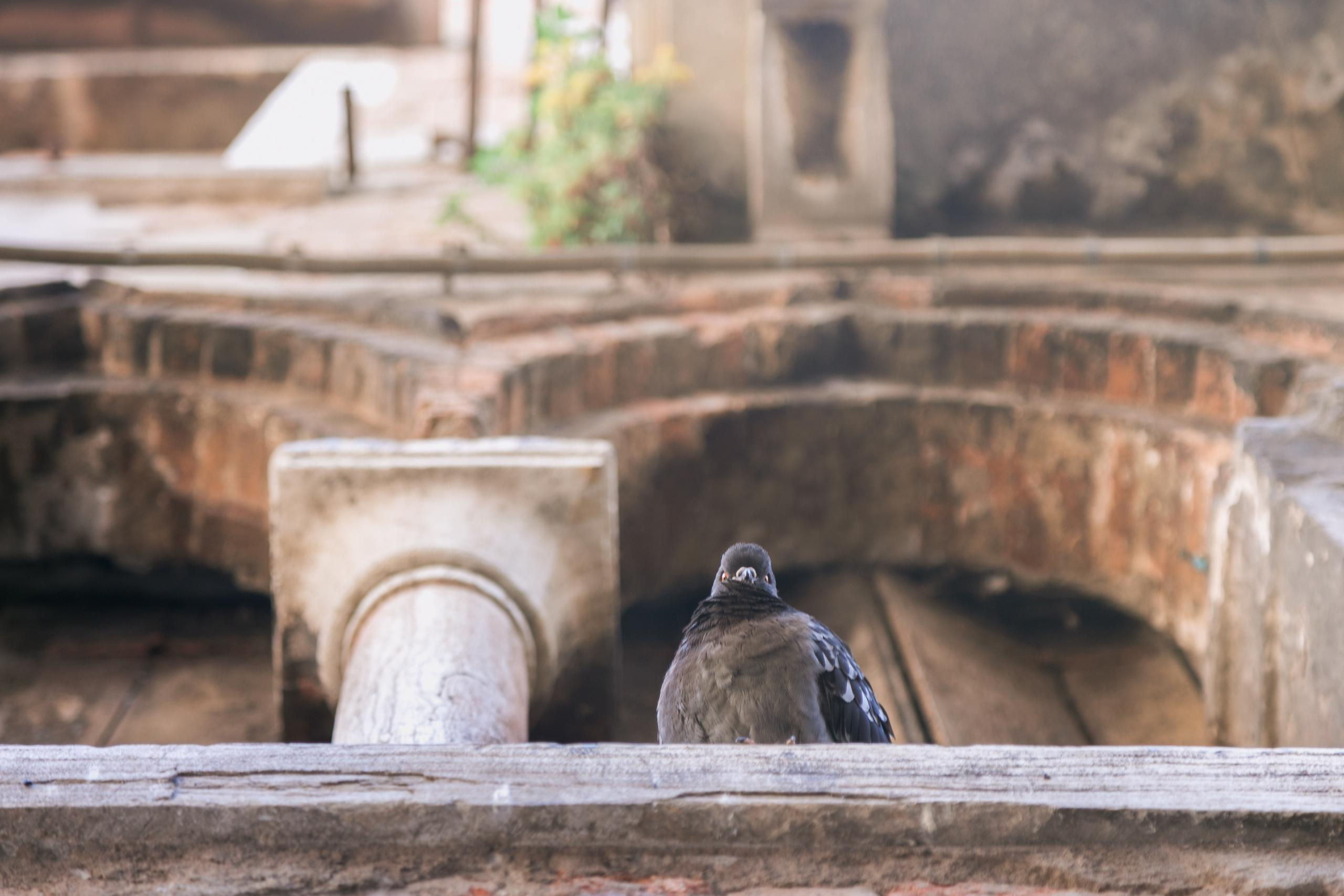 Путешествия. Фотограф в Москве и Санкт-Петербурге Саша Кар