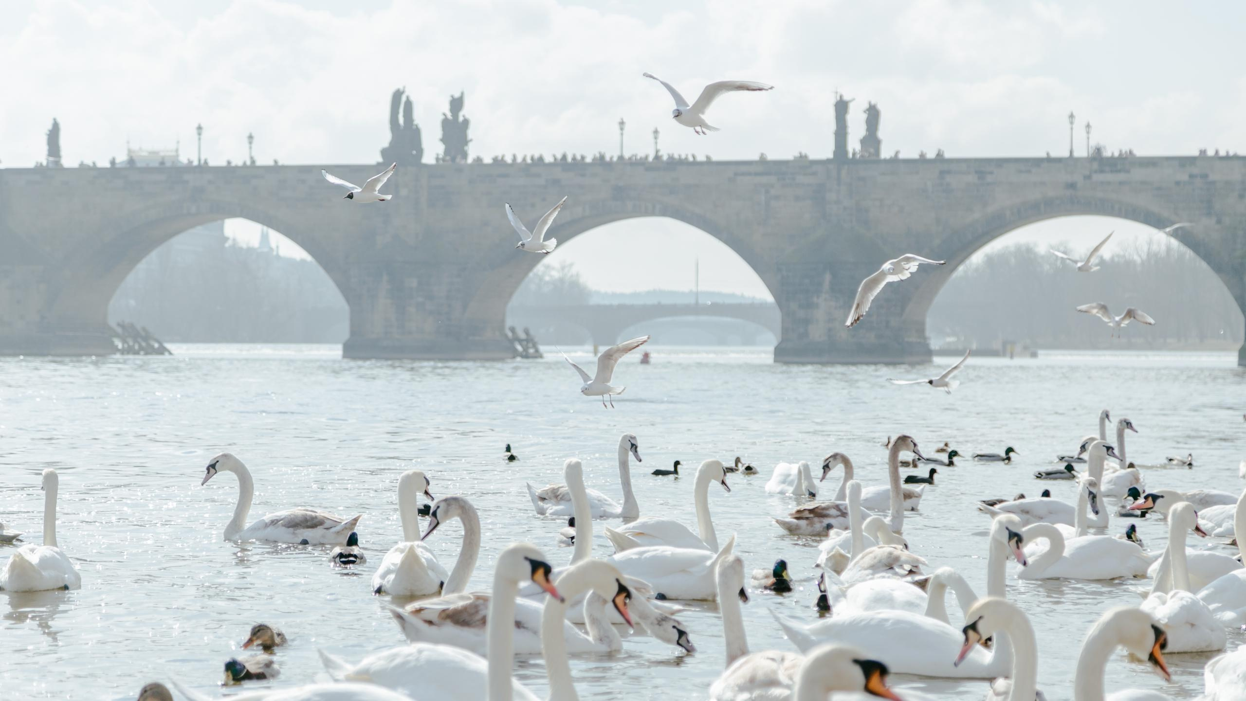 Путешествия. Фотограф в Москве и Санкт-Петербурге Саша Кар