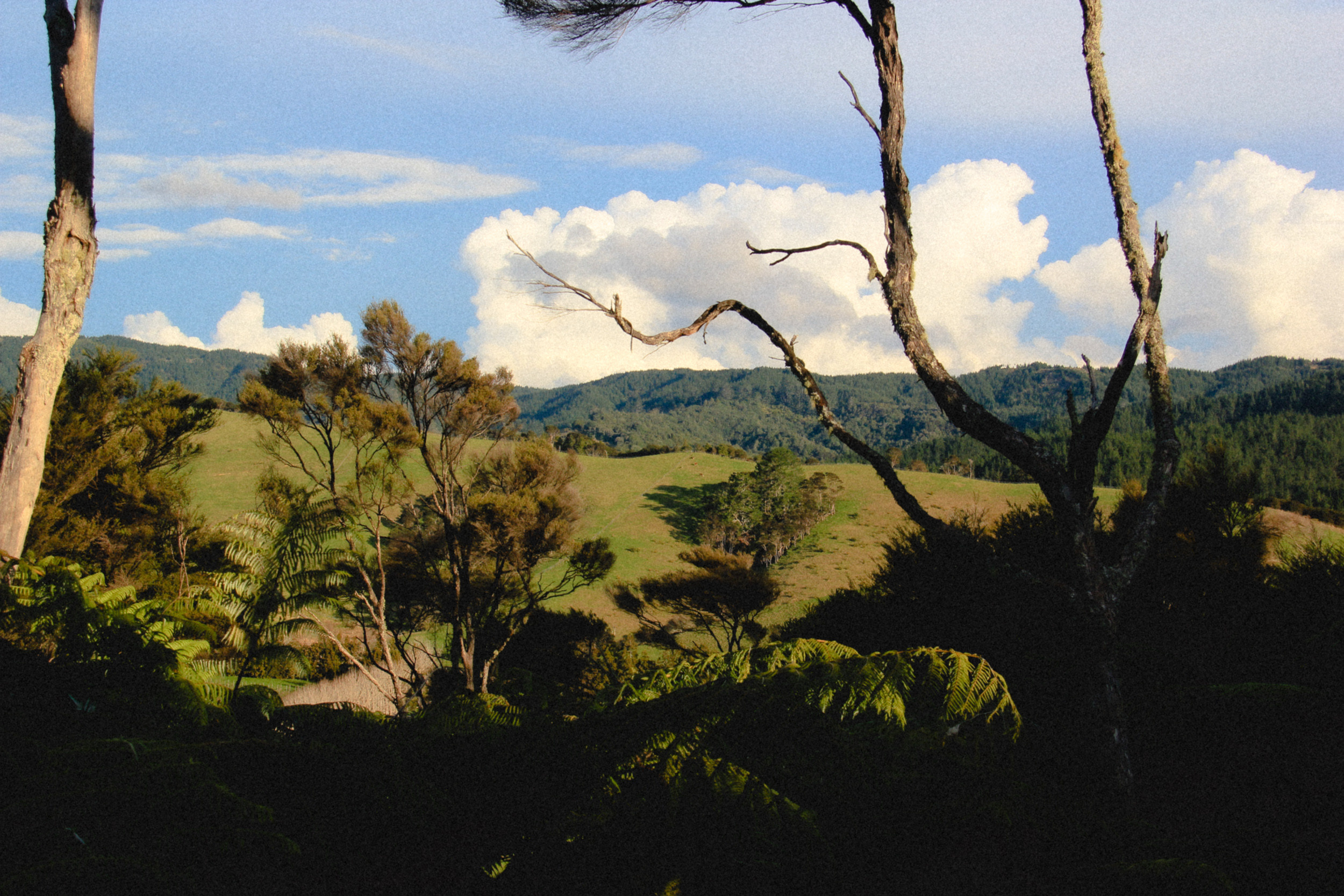 Путешествия. Фотограф в Москве и Санкт-Петербурге Саша Кар