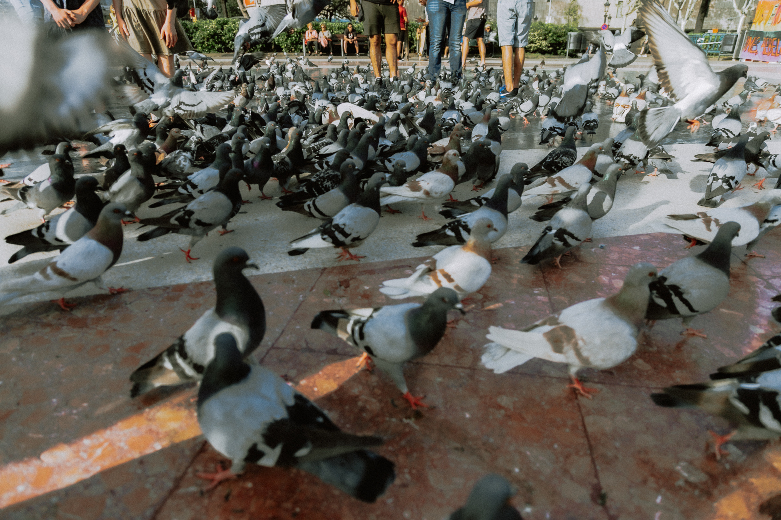 Путешествия. Фотограф в Москве и Санкт-Петербурге Саша Кар