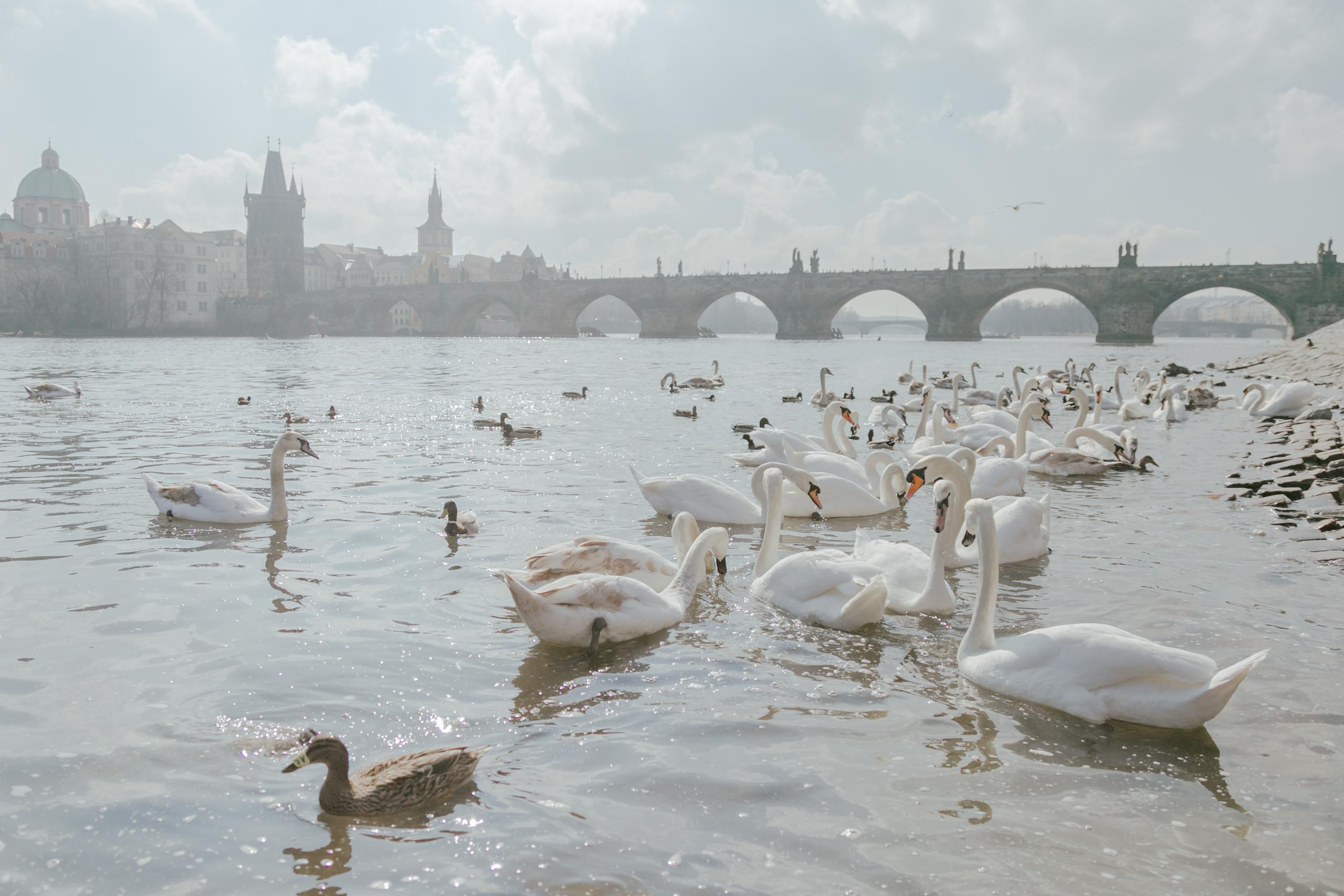 Путешествия. Фотограф в Москве и Санкт-Петербурге Саша Кар