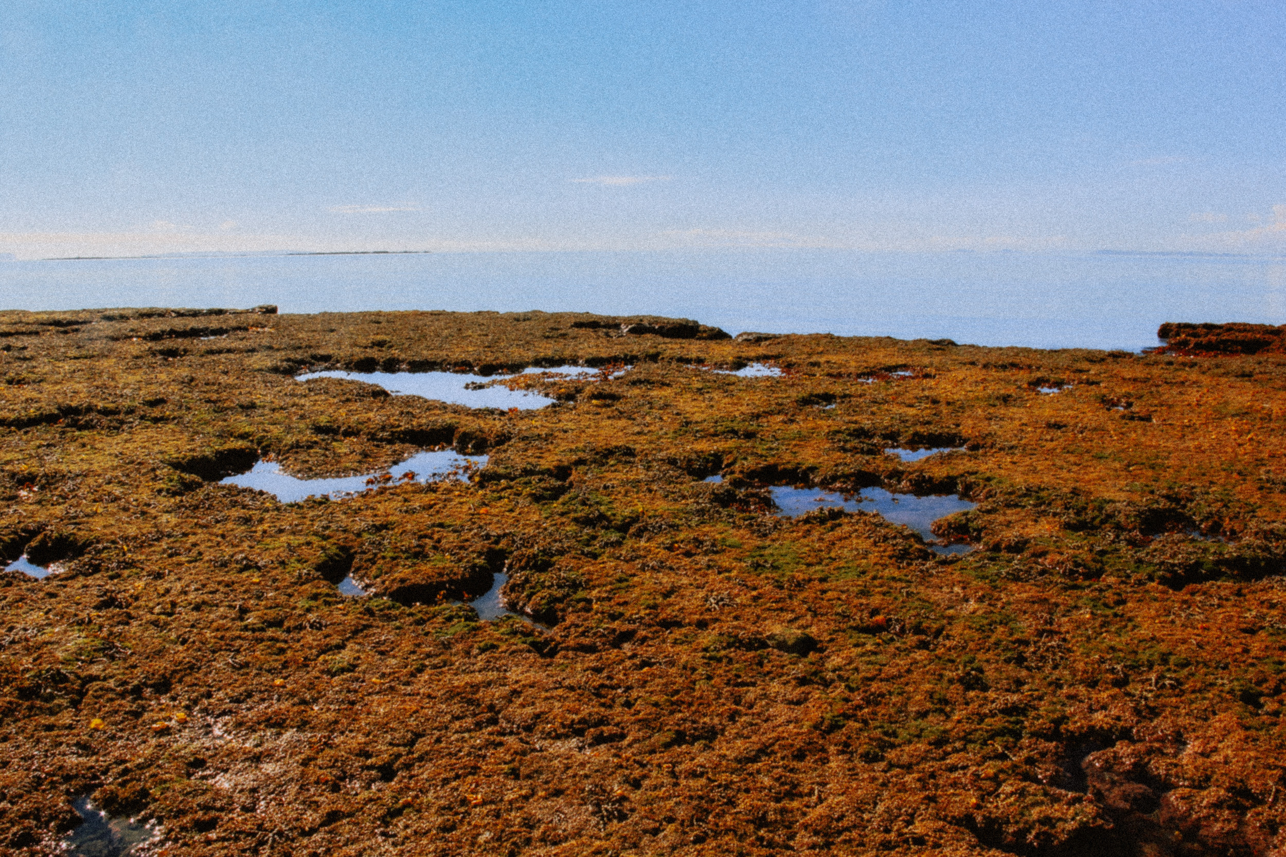 Путешествия. Фотограф в Москве и Санкт-Петербурге Саша Кар