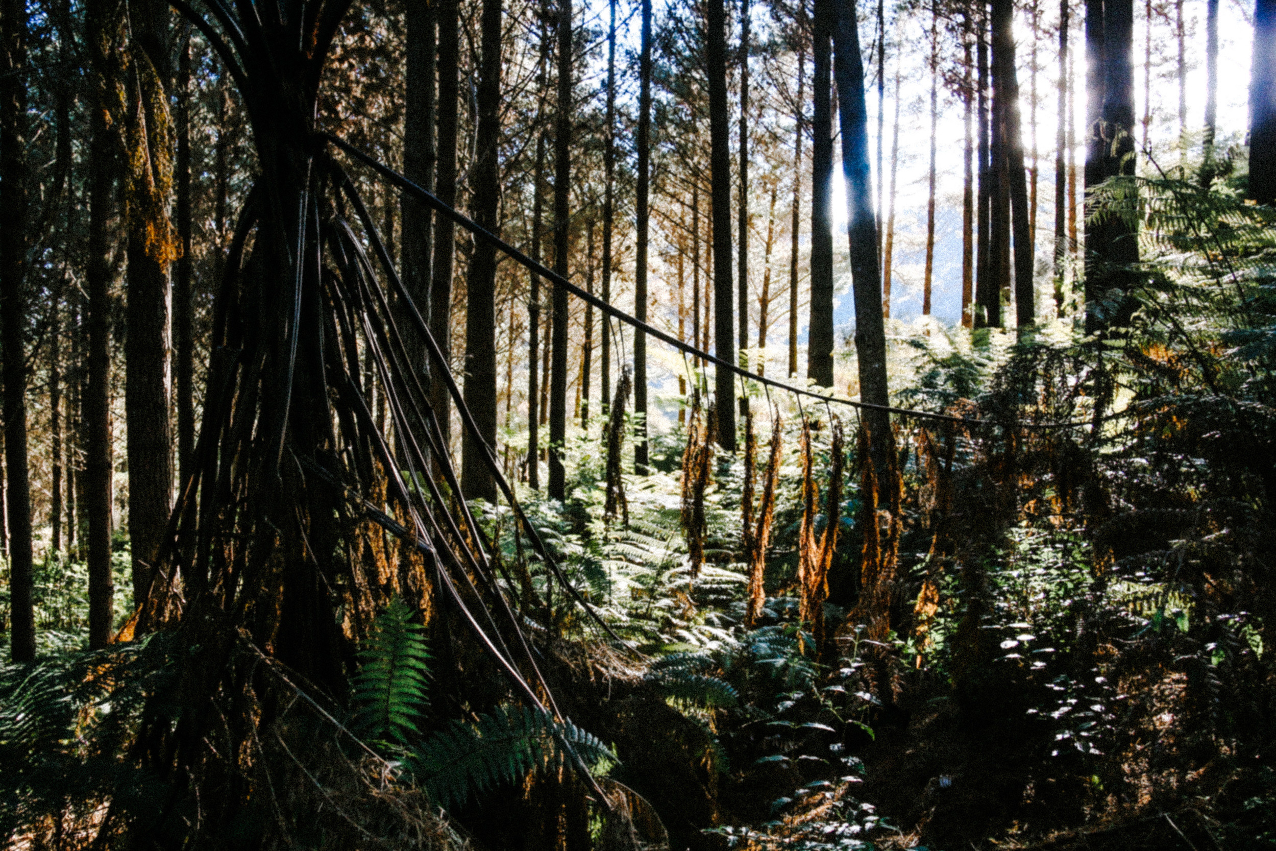Путешествия. Фотограф в Москве и Санкт-Петербурге Саша Кар