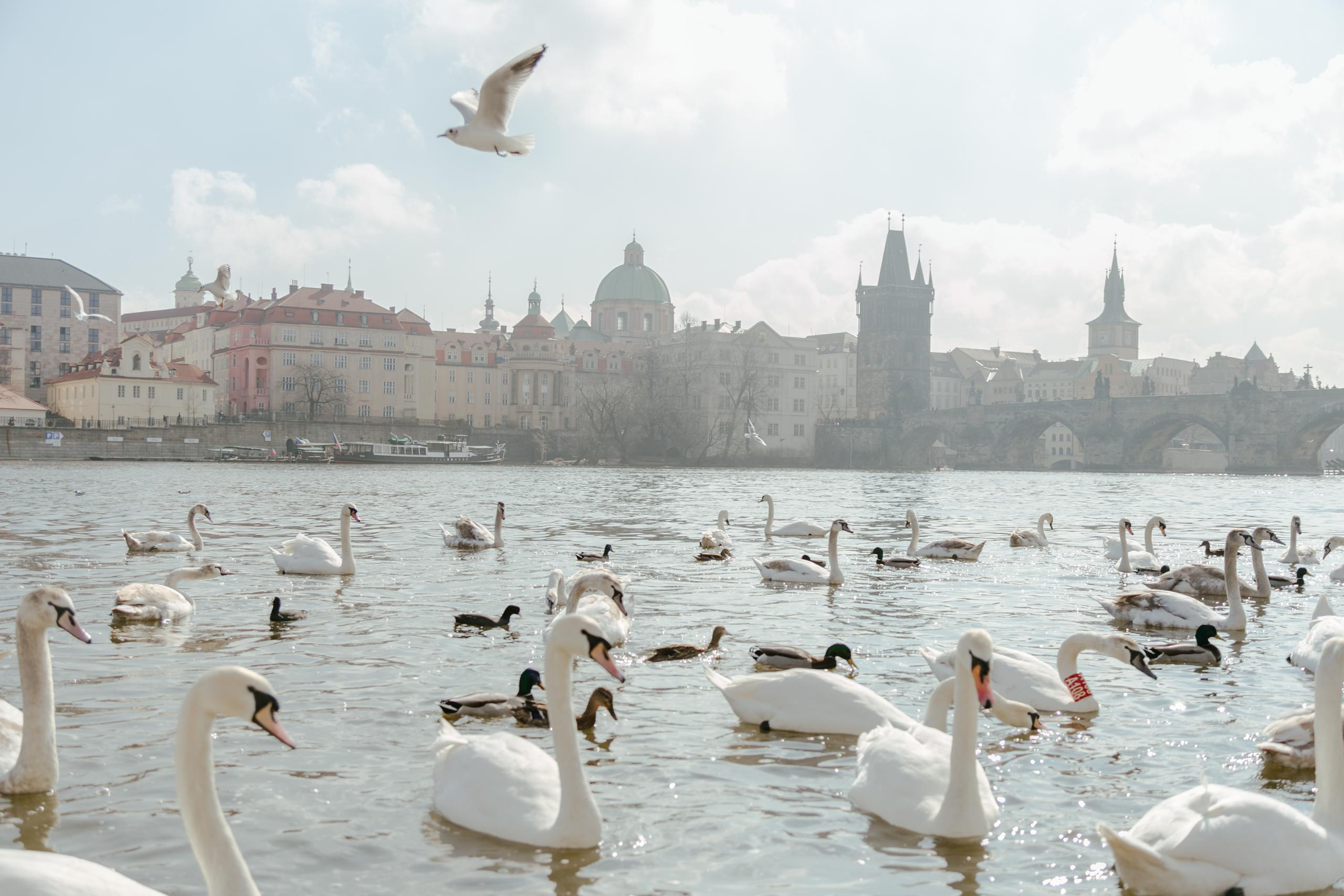 Путешествия. Фотограф в Москве и Санкт-Петербурге Саша Кар