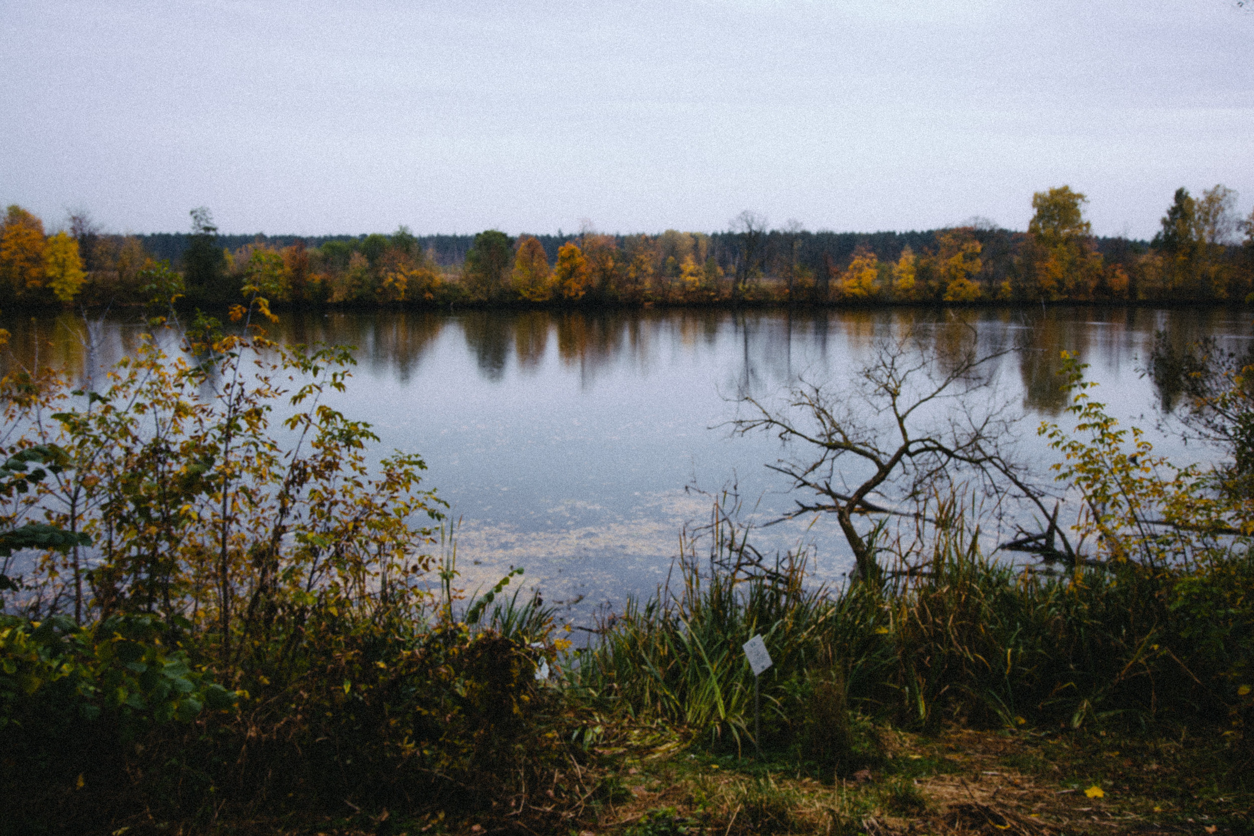 Дом. Фотограф в Москве и Санкт-Петербурге Саша Кар