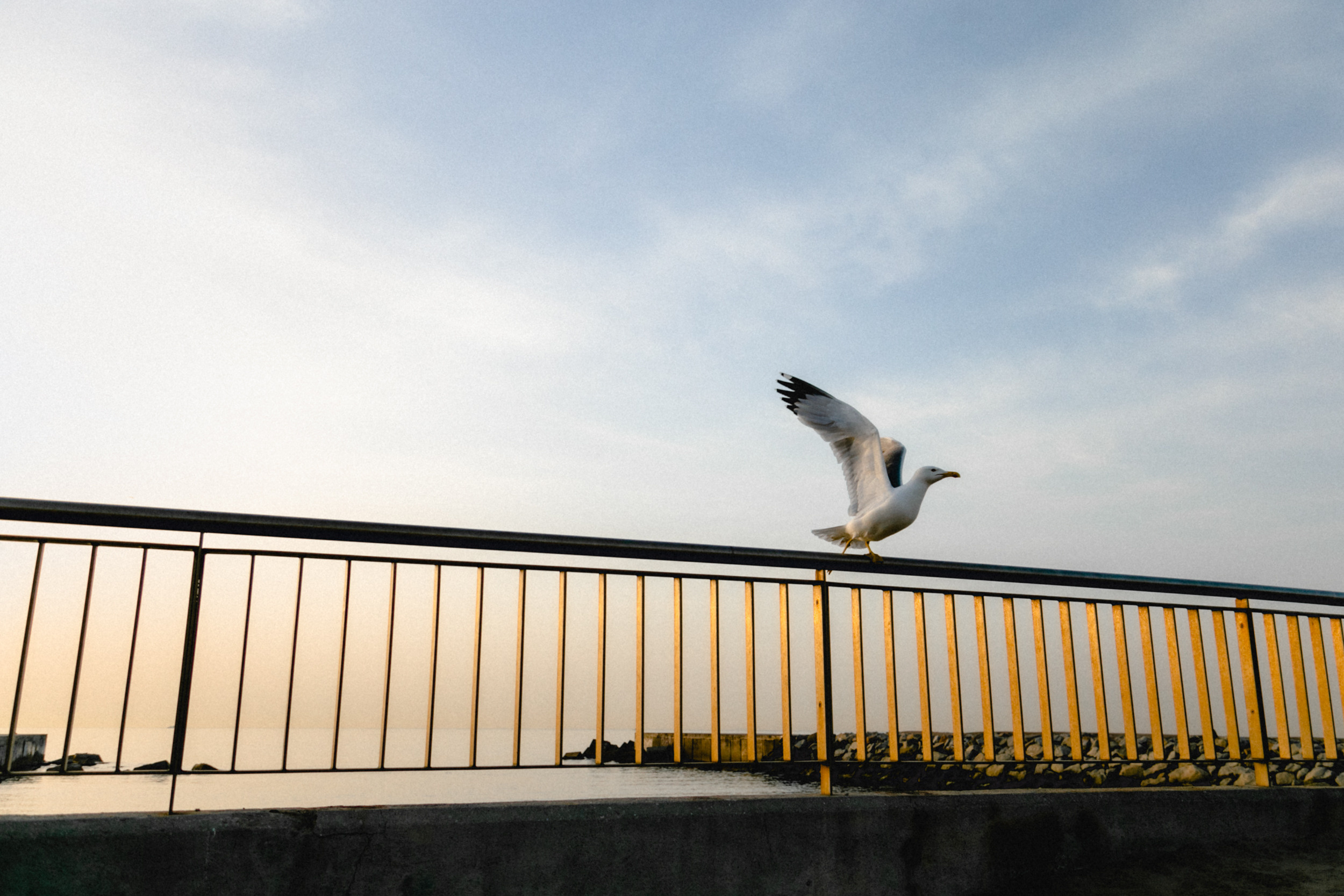 Путешествия. Фотограф в Москве и Санкт-Петербурге Саша Кар