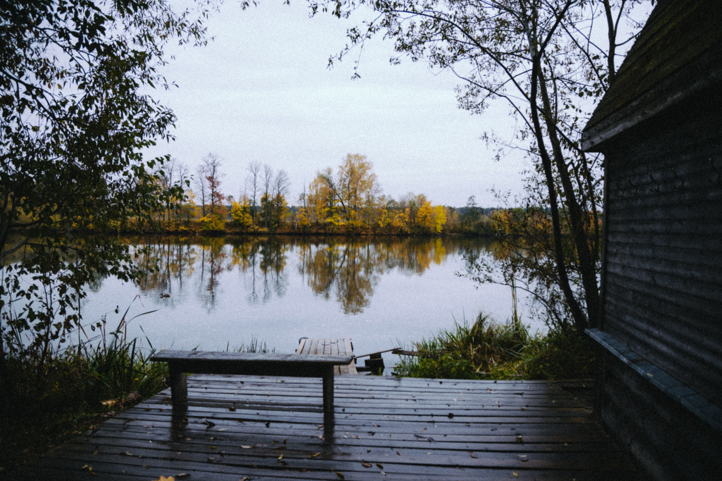 Дом. Фотограф в Москве и Санкт-Петербурге Саша Кар