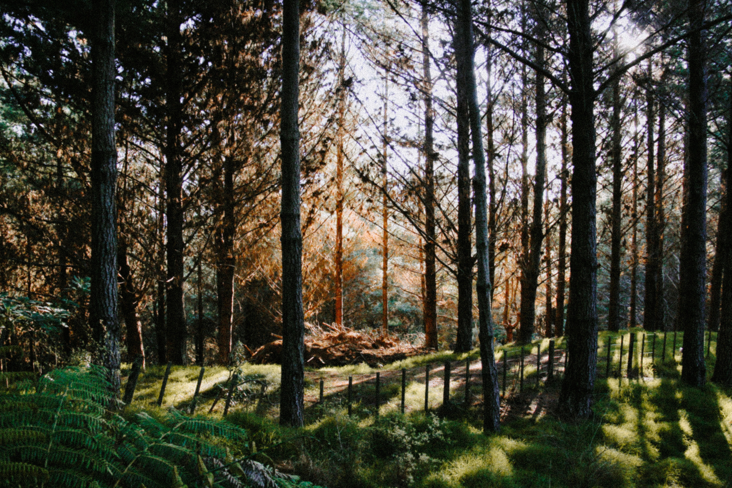 Путешествия. Фотограф в Москве и Санкт-Петербурге Саша Кар