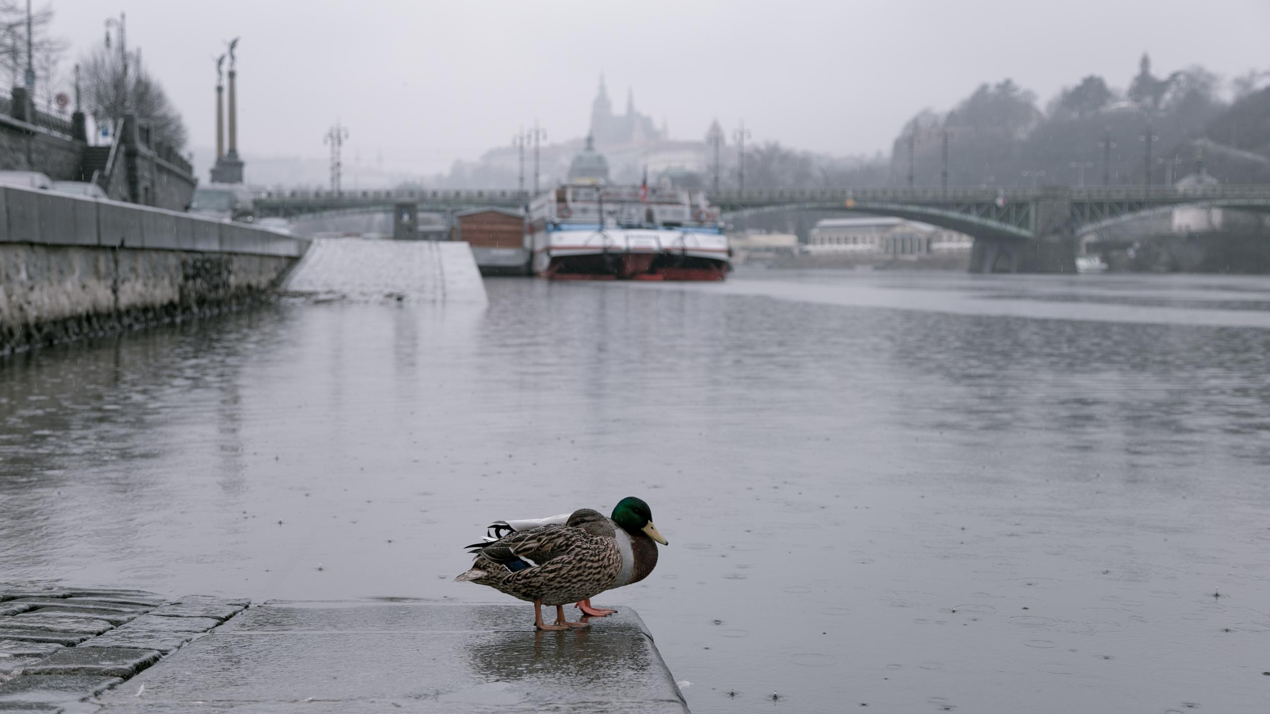 Путешествия. Фотограф в Москве и Санкт-Петербурге Саша Кар