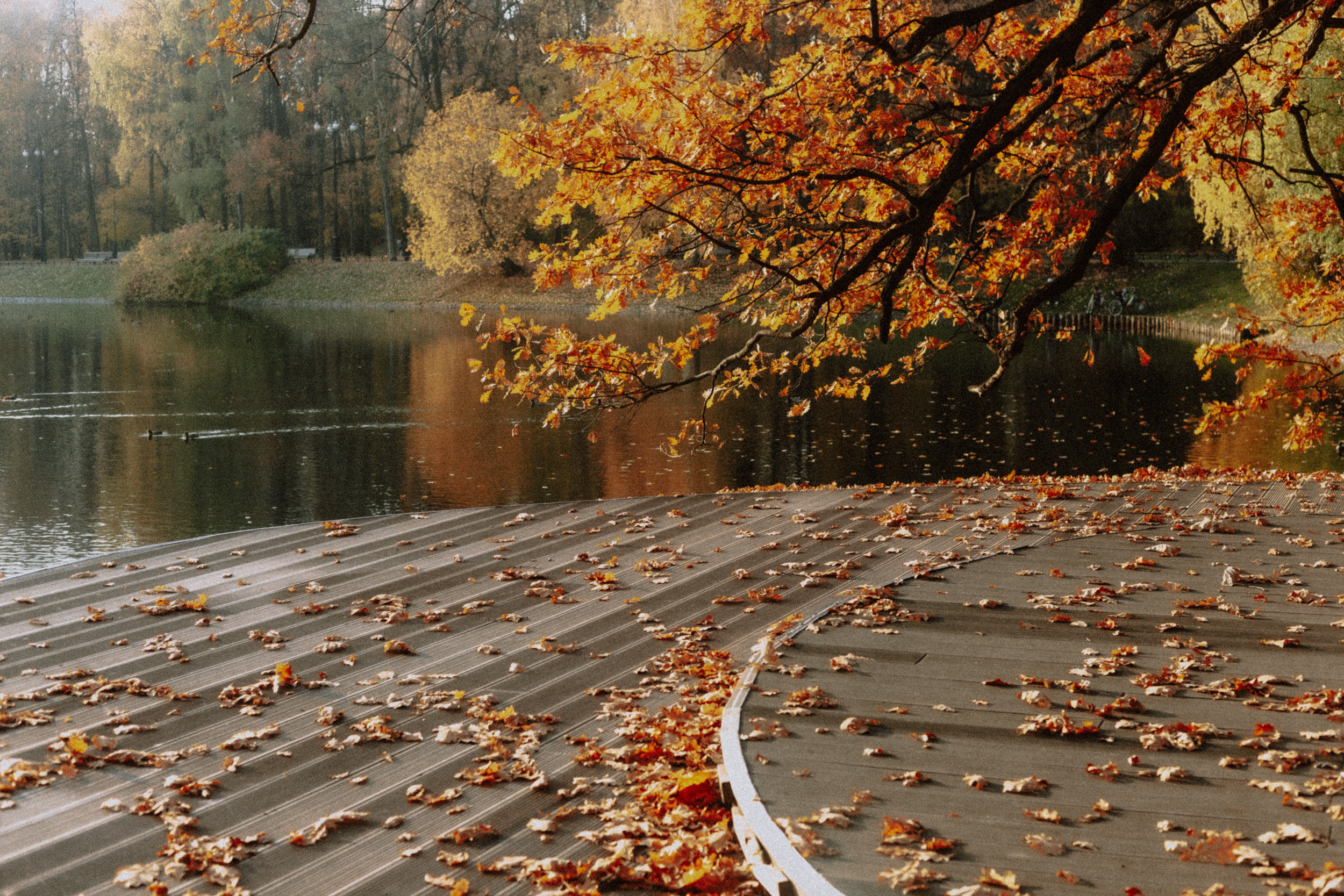 Дом. Фотограф в Москве и Санкт-Петербурге Саша Кар
