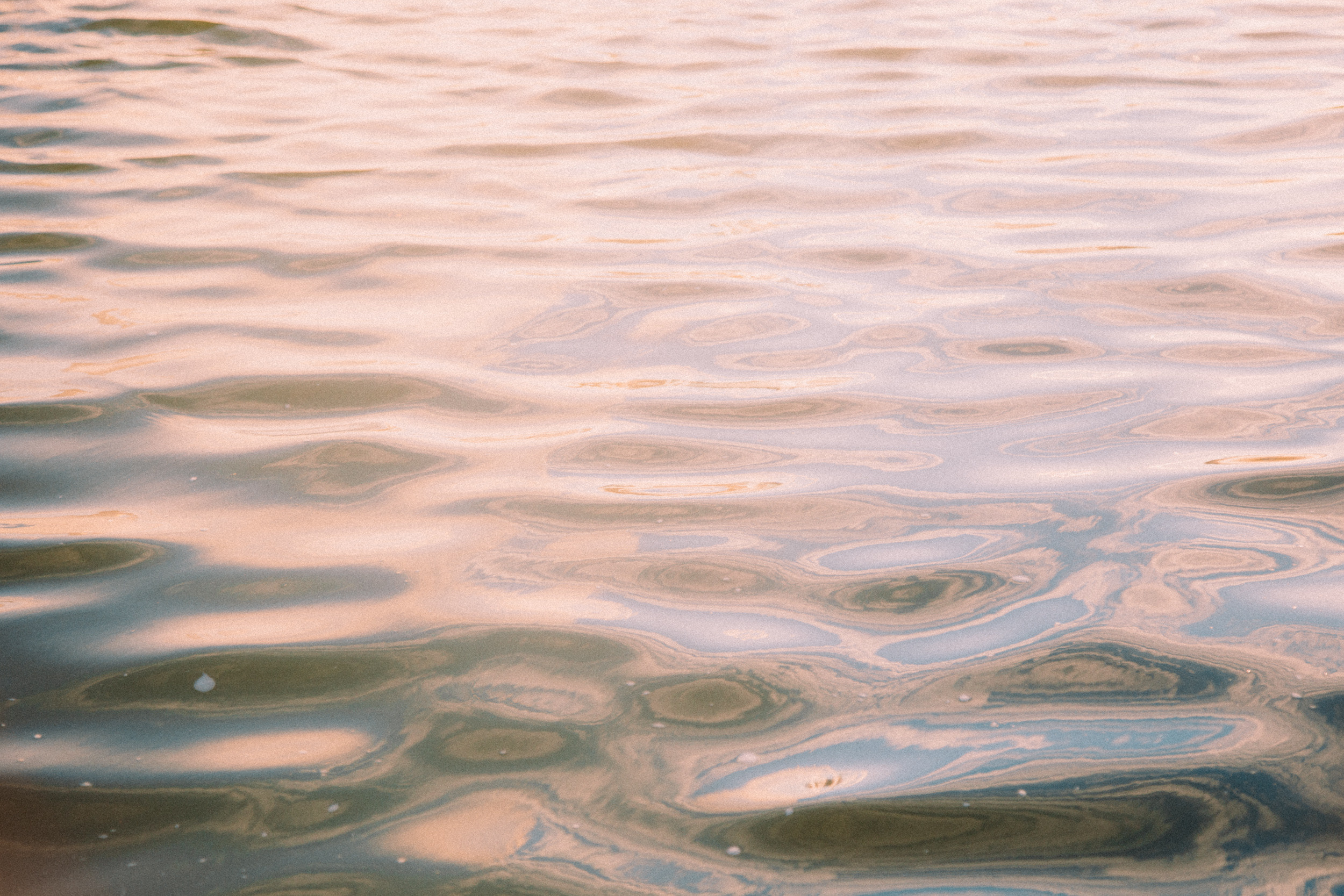 Дом. Фотограф в Москве и Санкт-Петербурге Саша Кар