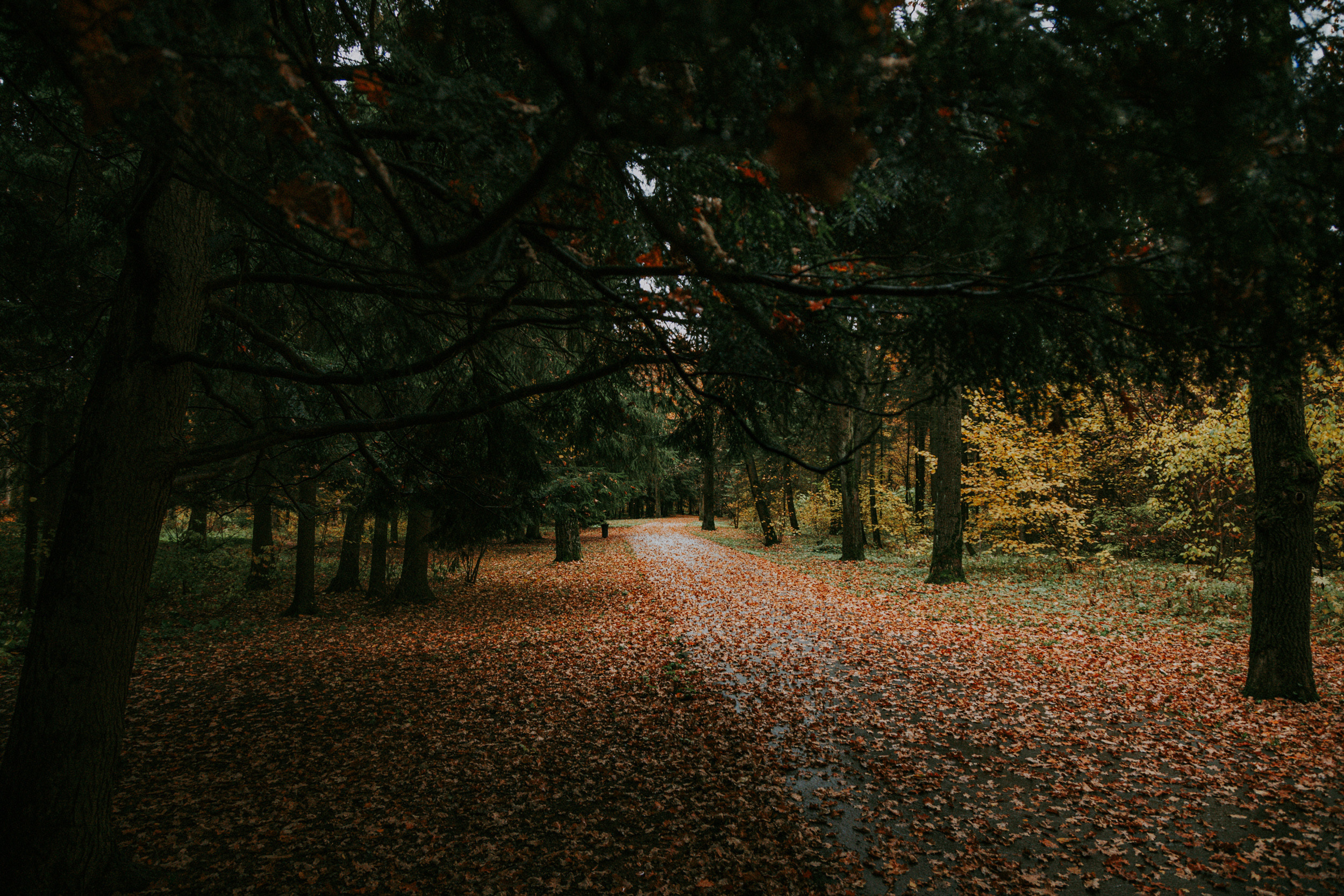 Дом. Фотограф в Москве и Санкт-Петербурге Саша Кар