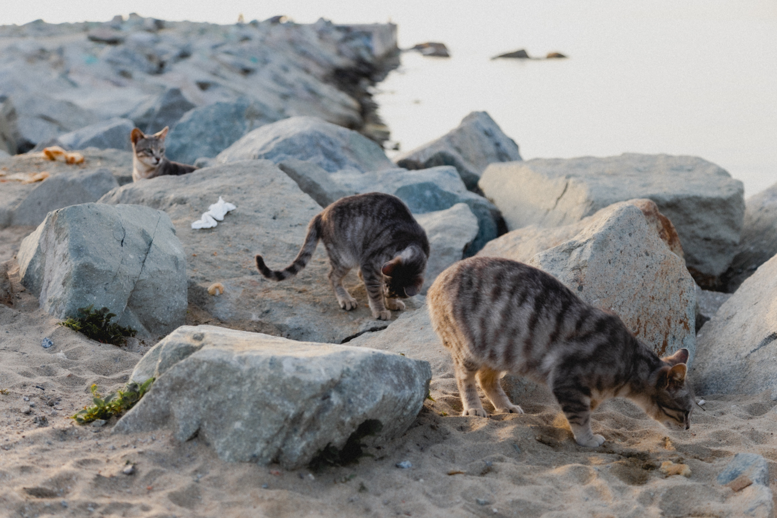 Путешествия. Фотограф в Москве и Санкт-Петербурге Саша Кар