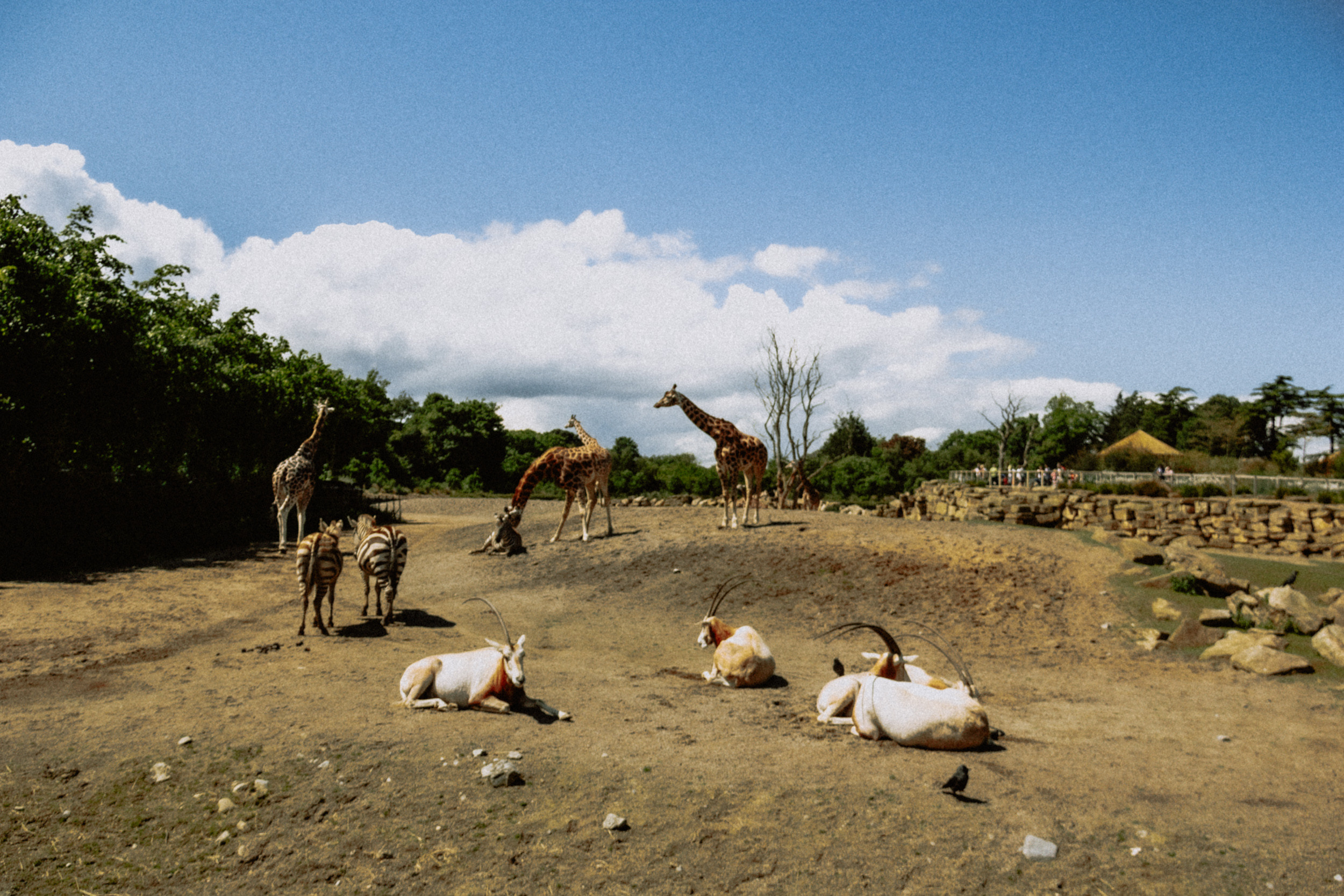 Путешествия. Фотограф в Москве и Санкт-Петербурге Саша Кар